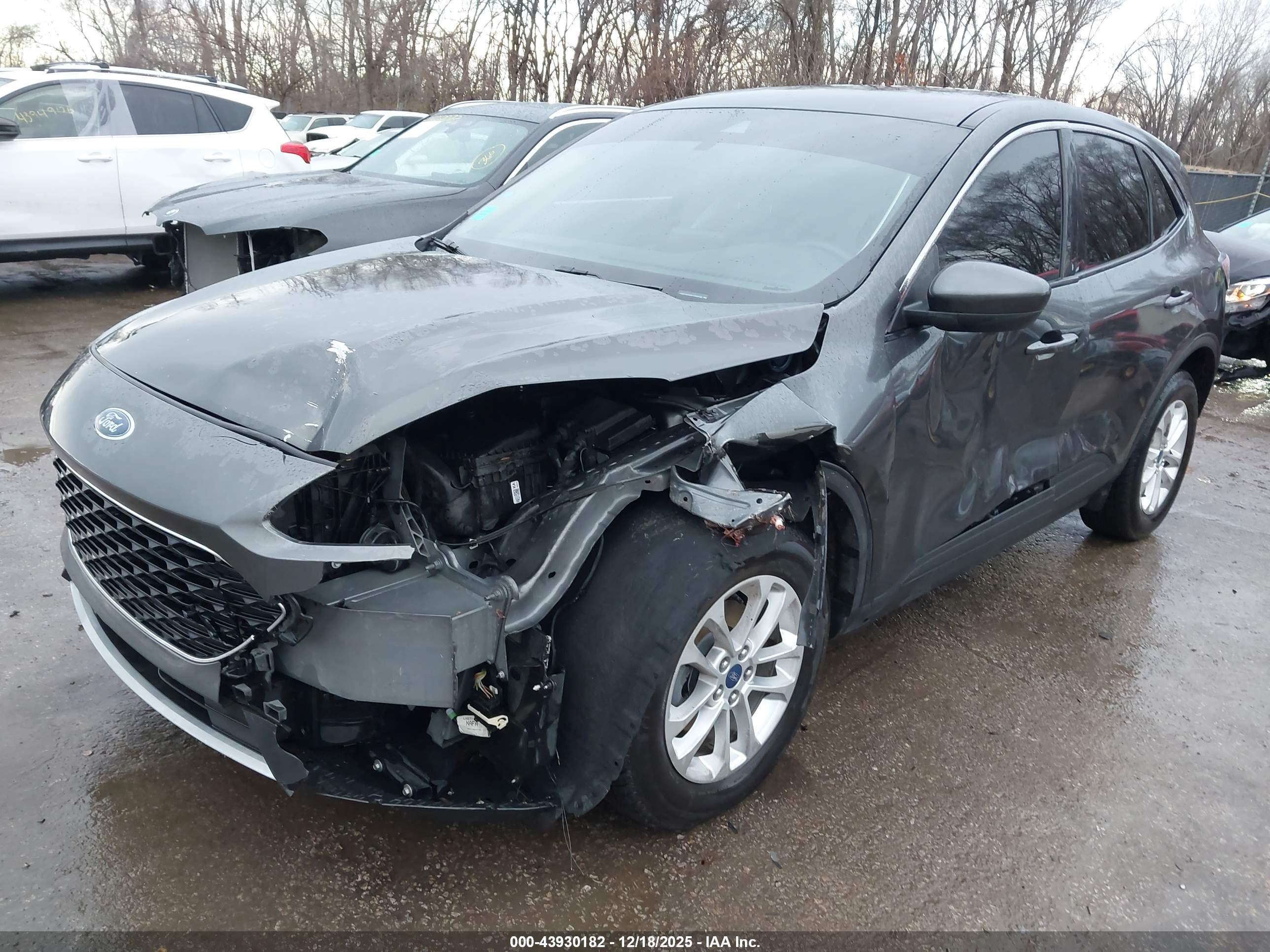 FORD ESCAPE image 2