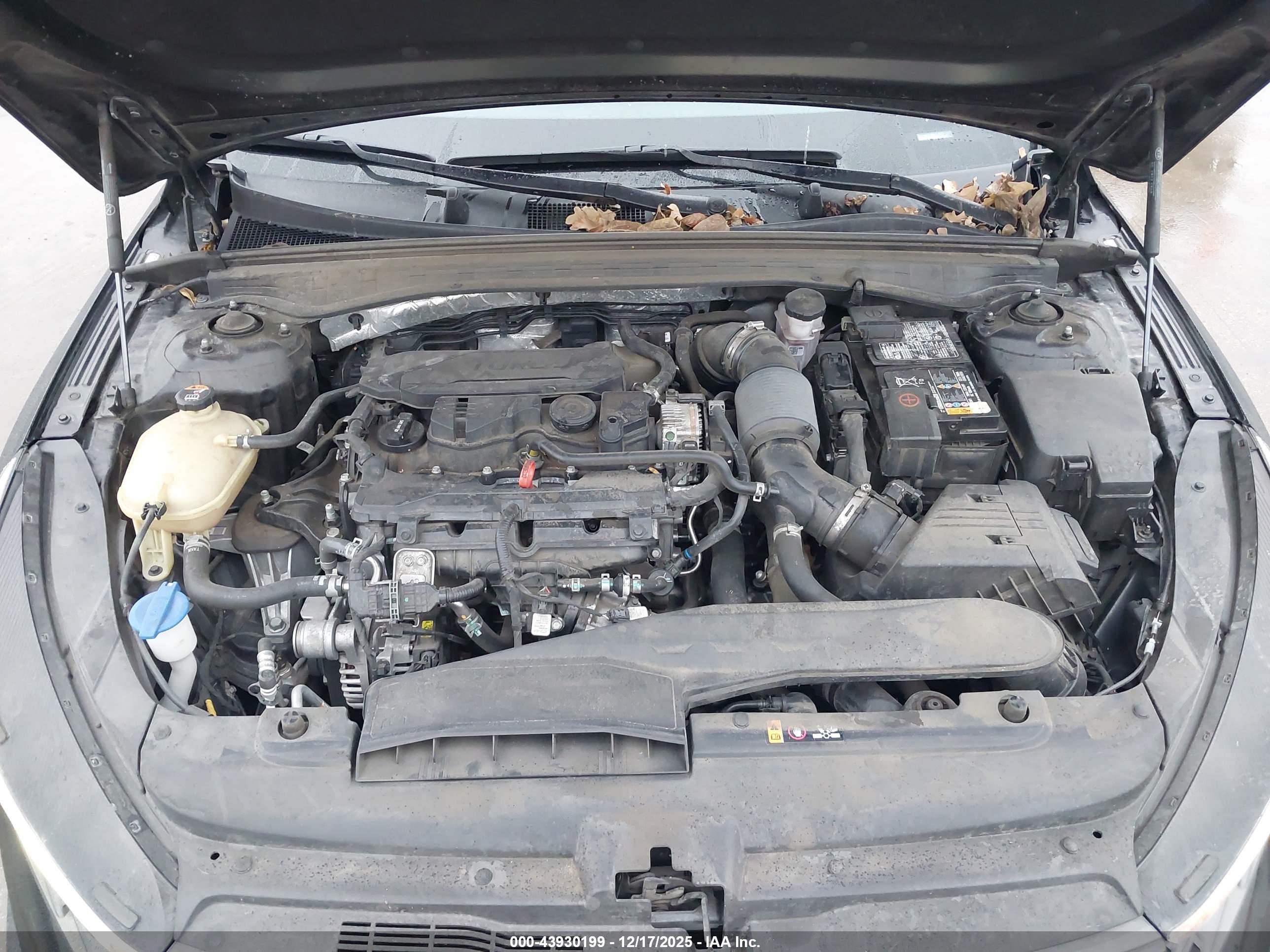 KIA K5 image 10