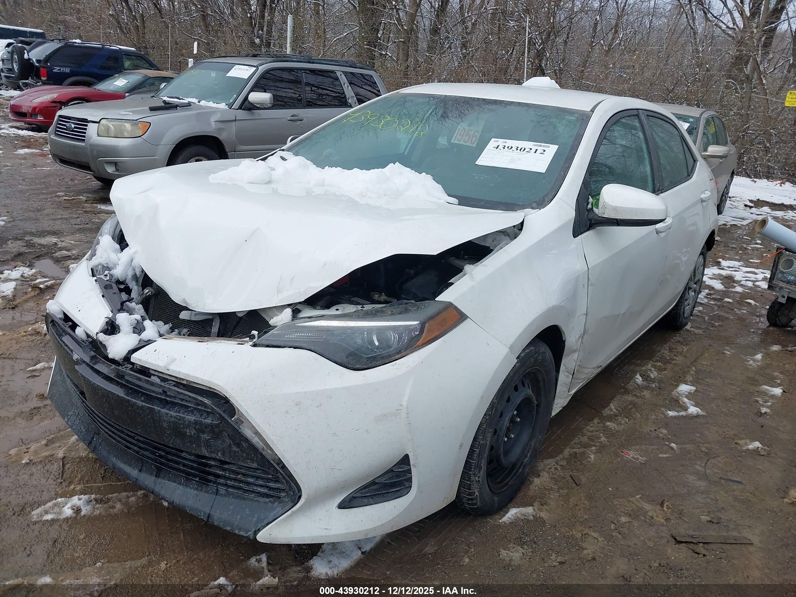 TOYOTA COROLLA image 2