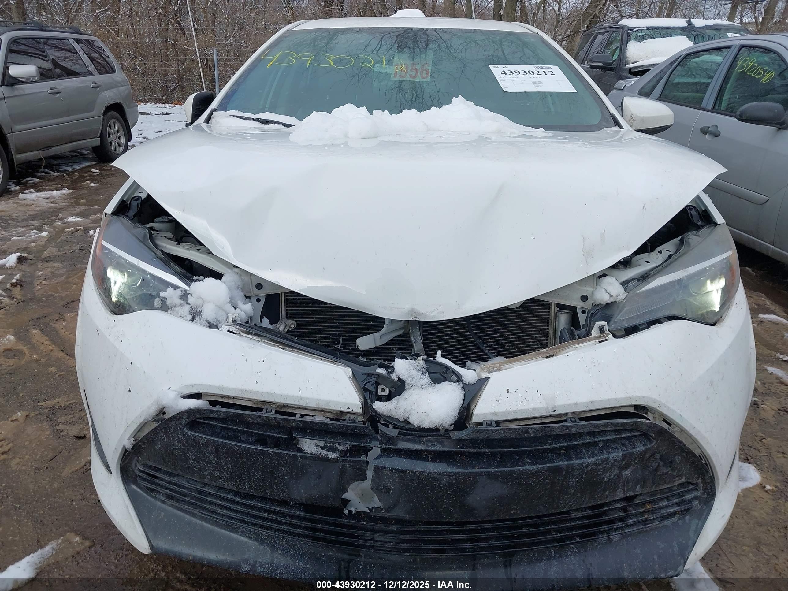 TOYOTA COROLLA image 6