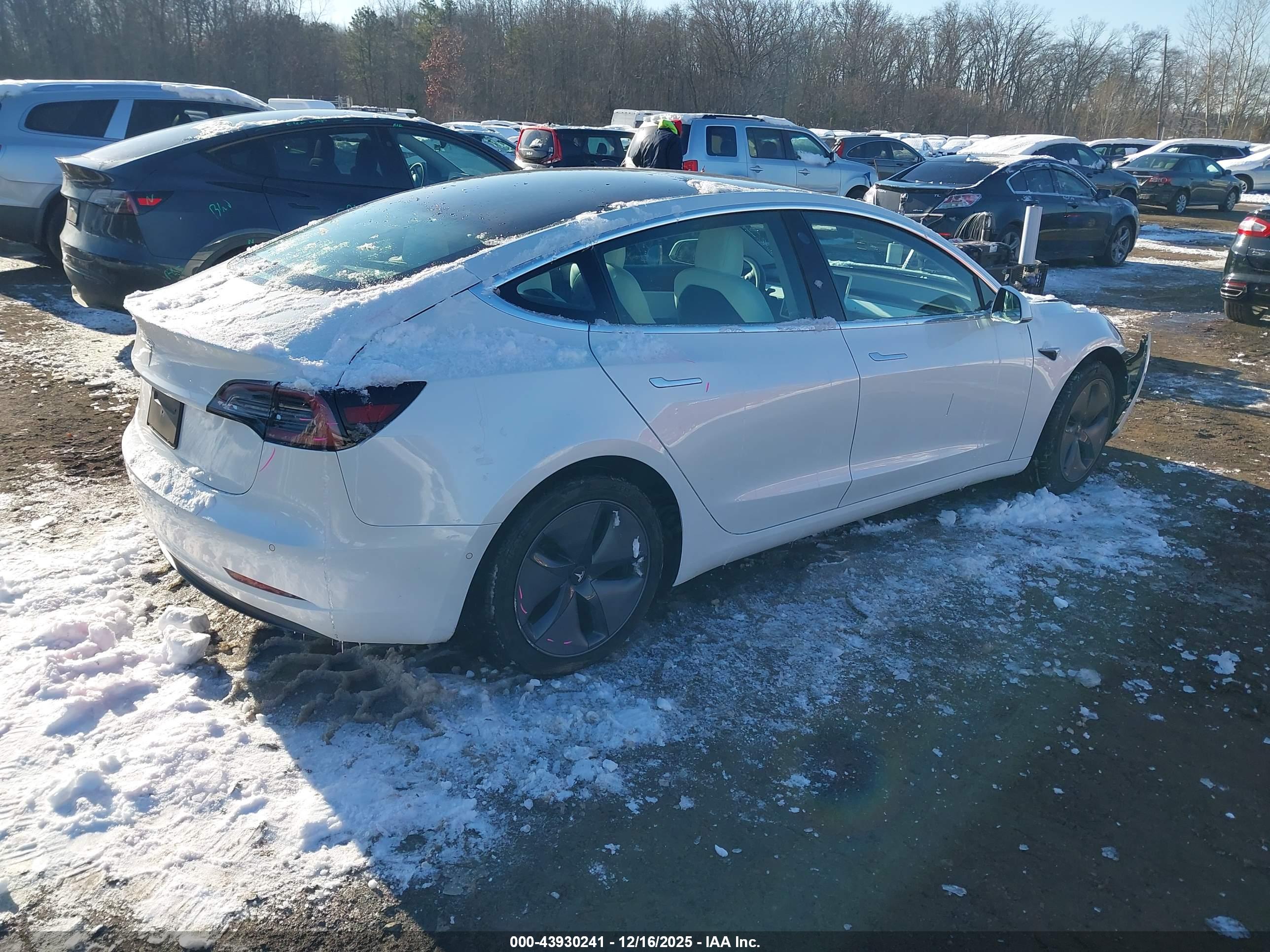 TESLA MODEL image 4