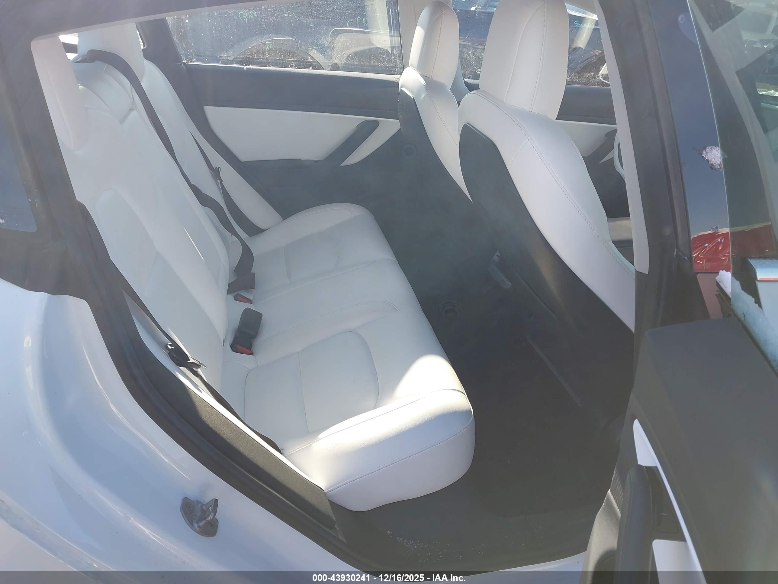 TESLA MODEL image 8