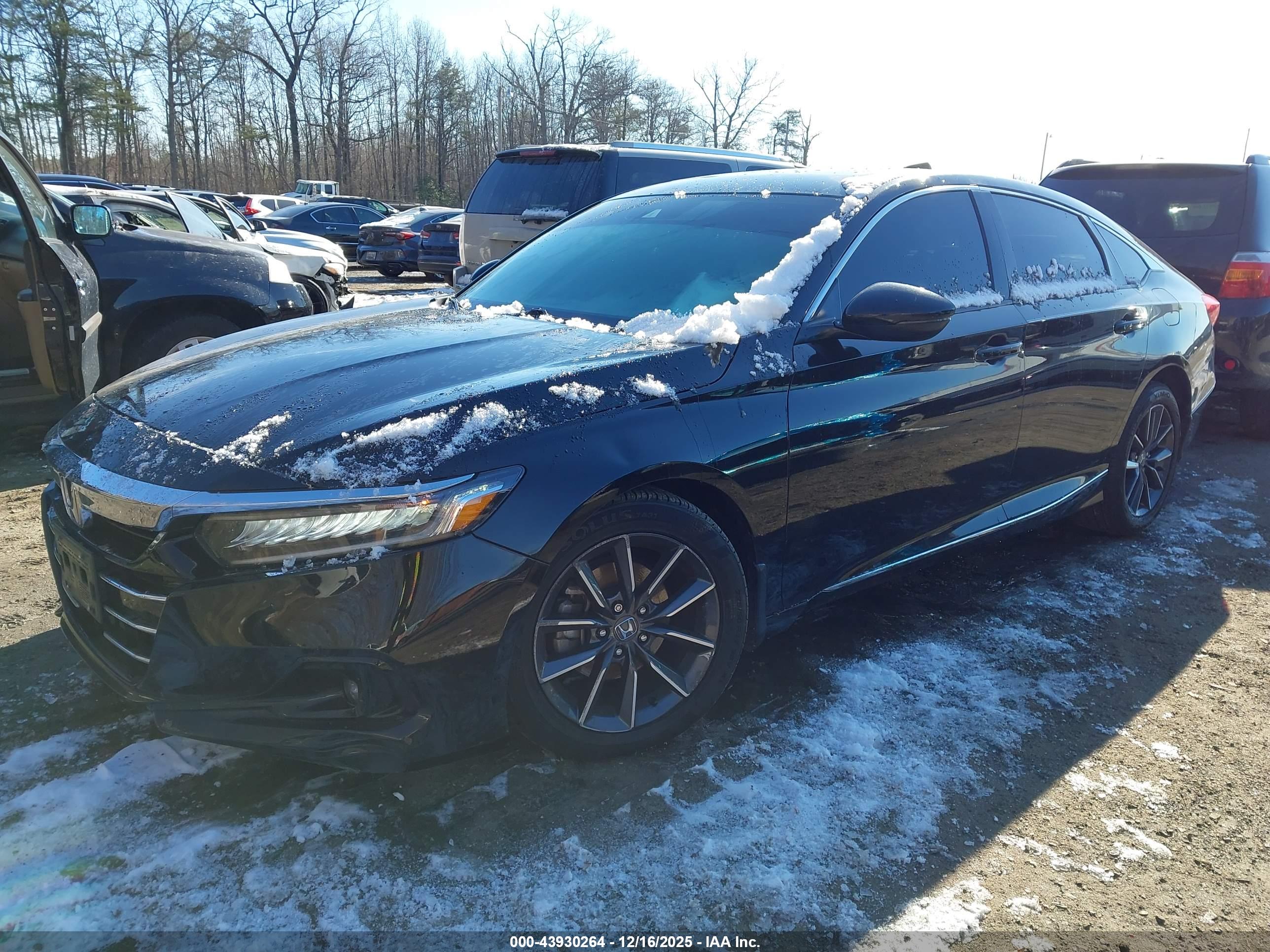 HONDA ACCORD image 2