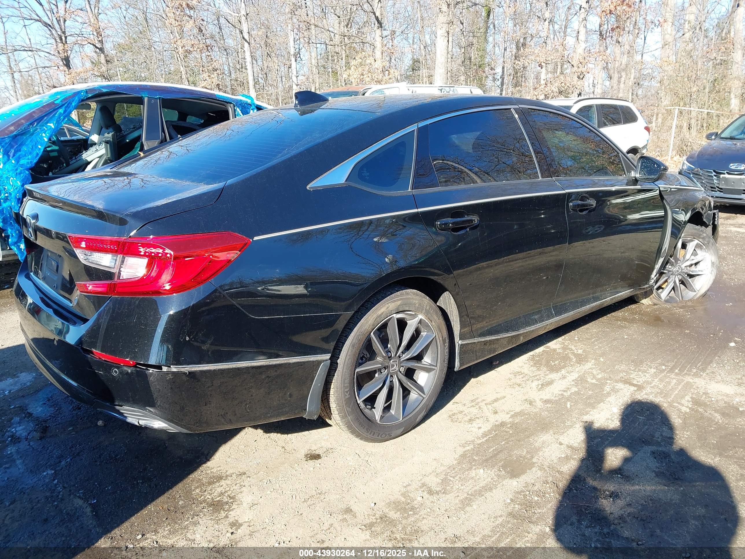 HONDA ACCORD image 4