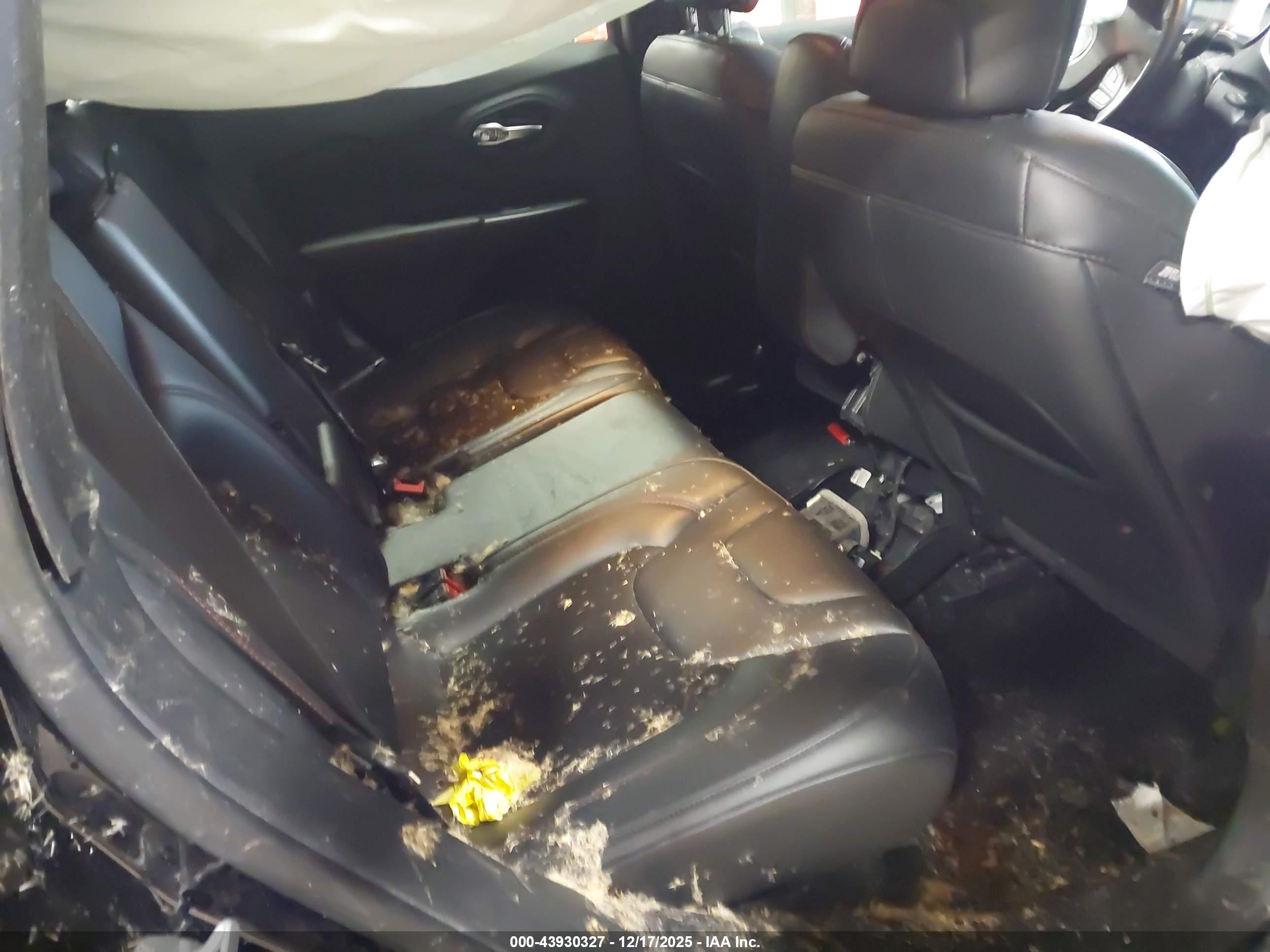 JEEP CHEROKEE image 8