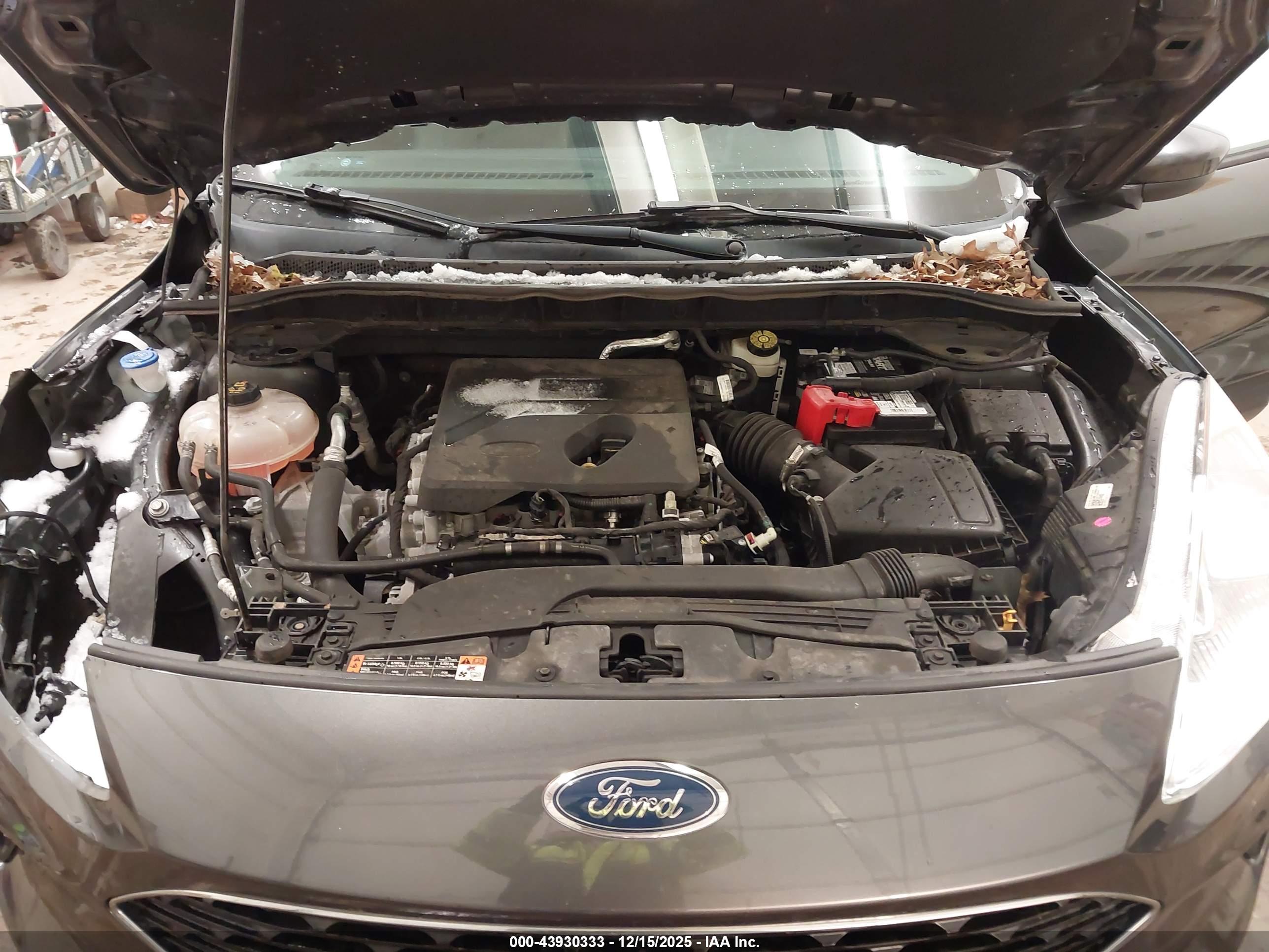 FORD ESCAPE image 10