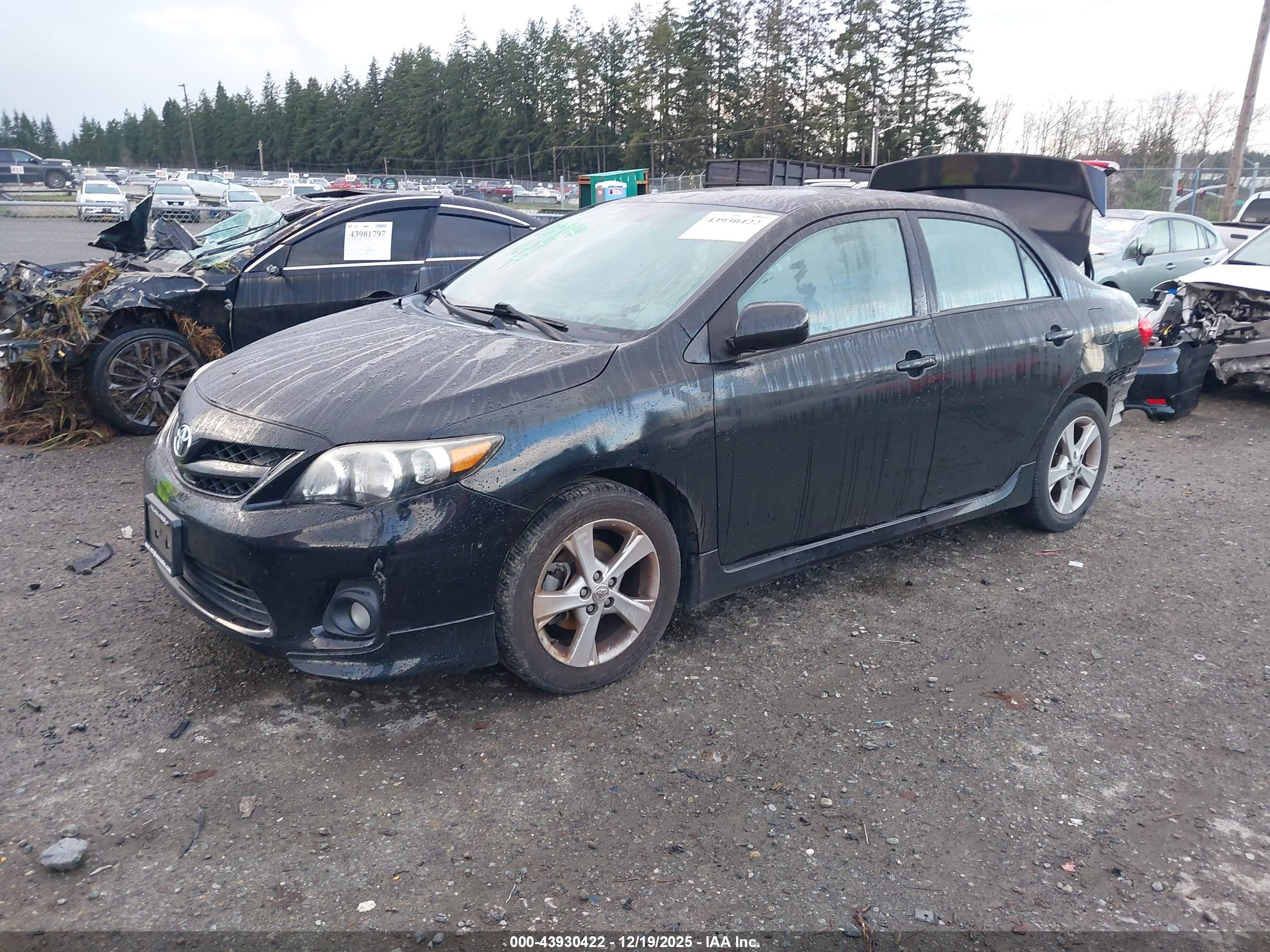 TOYOTA COROLLA image 2