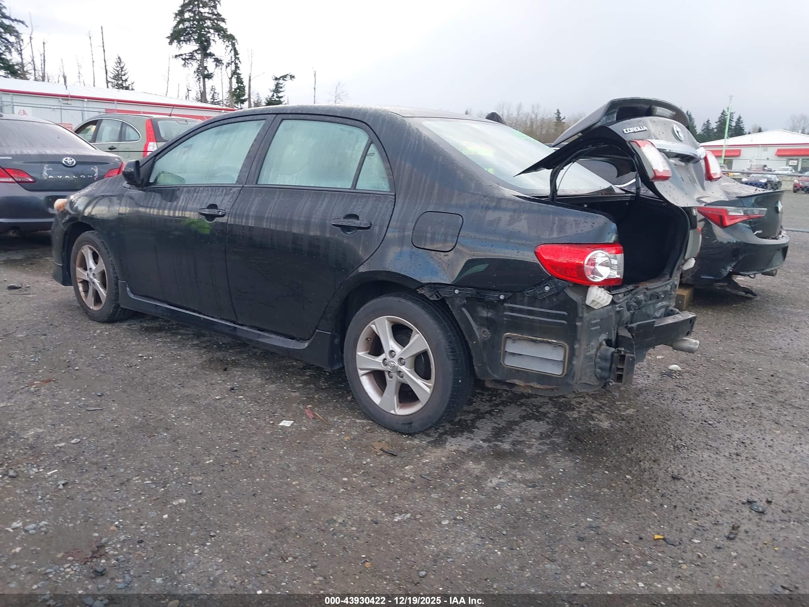 TOYOTA COROLLA image 3