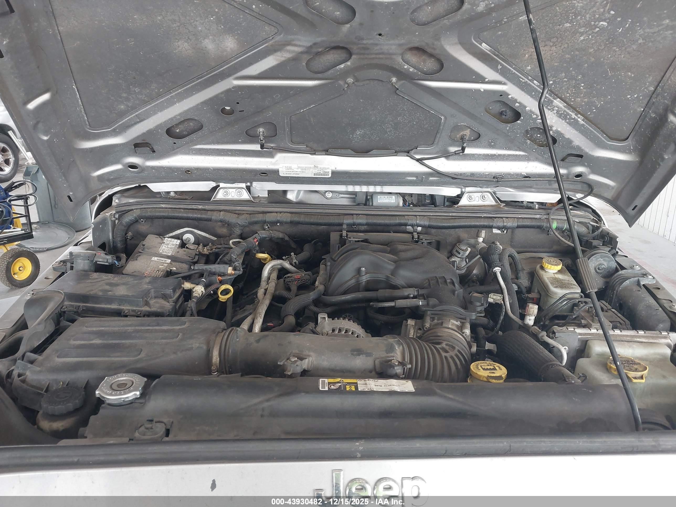 JEEP WRANGLER image 10