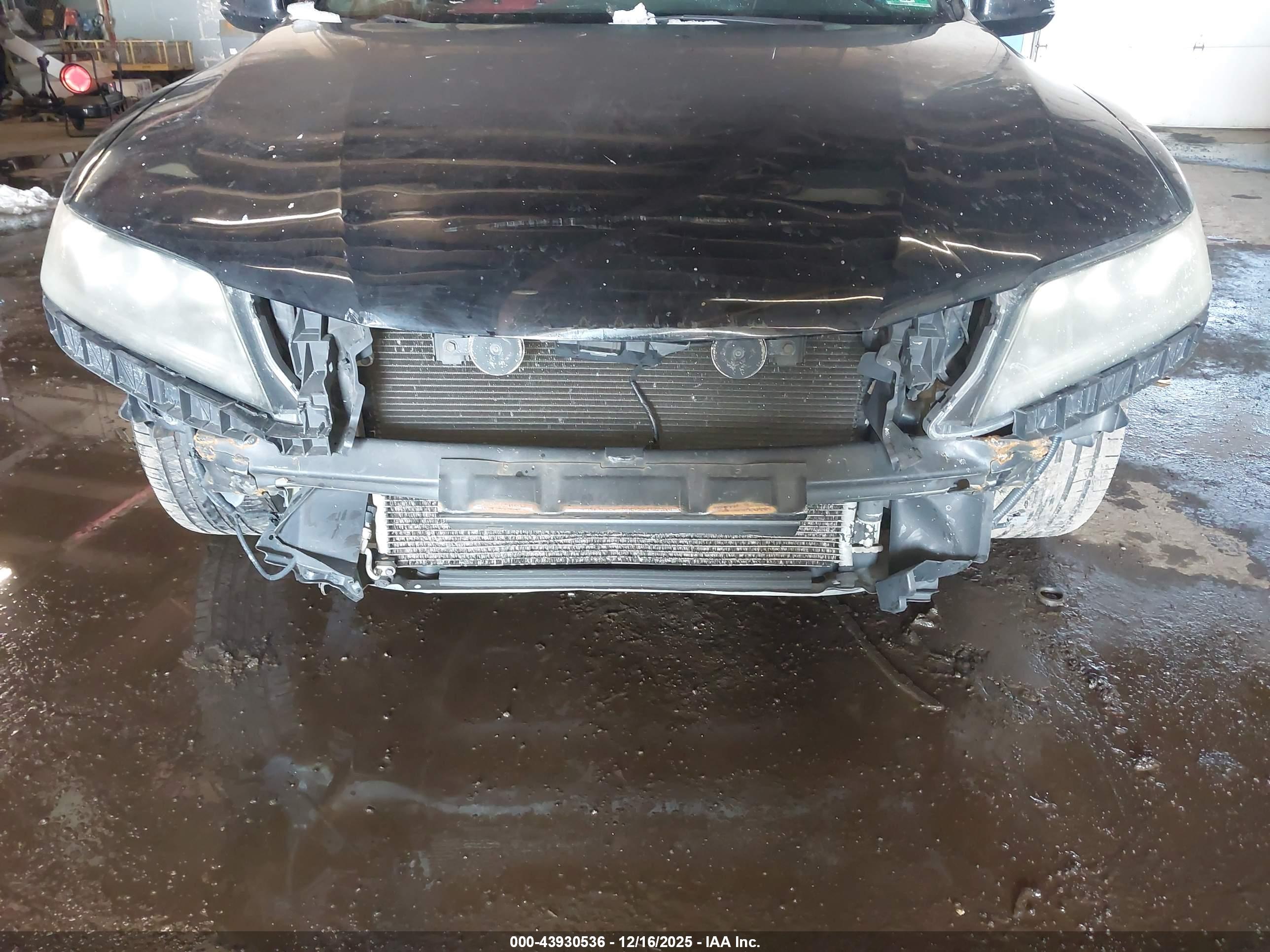 HONDA ACCORD image 6