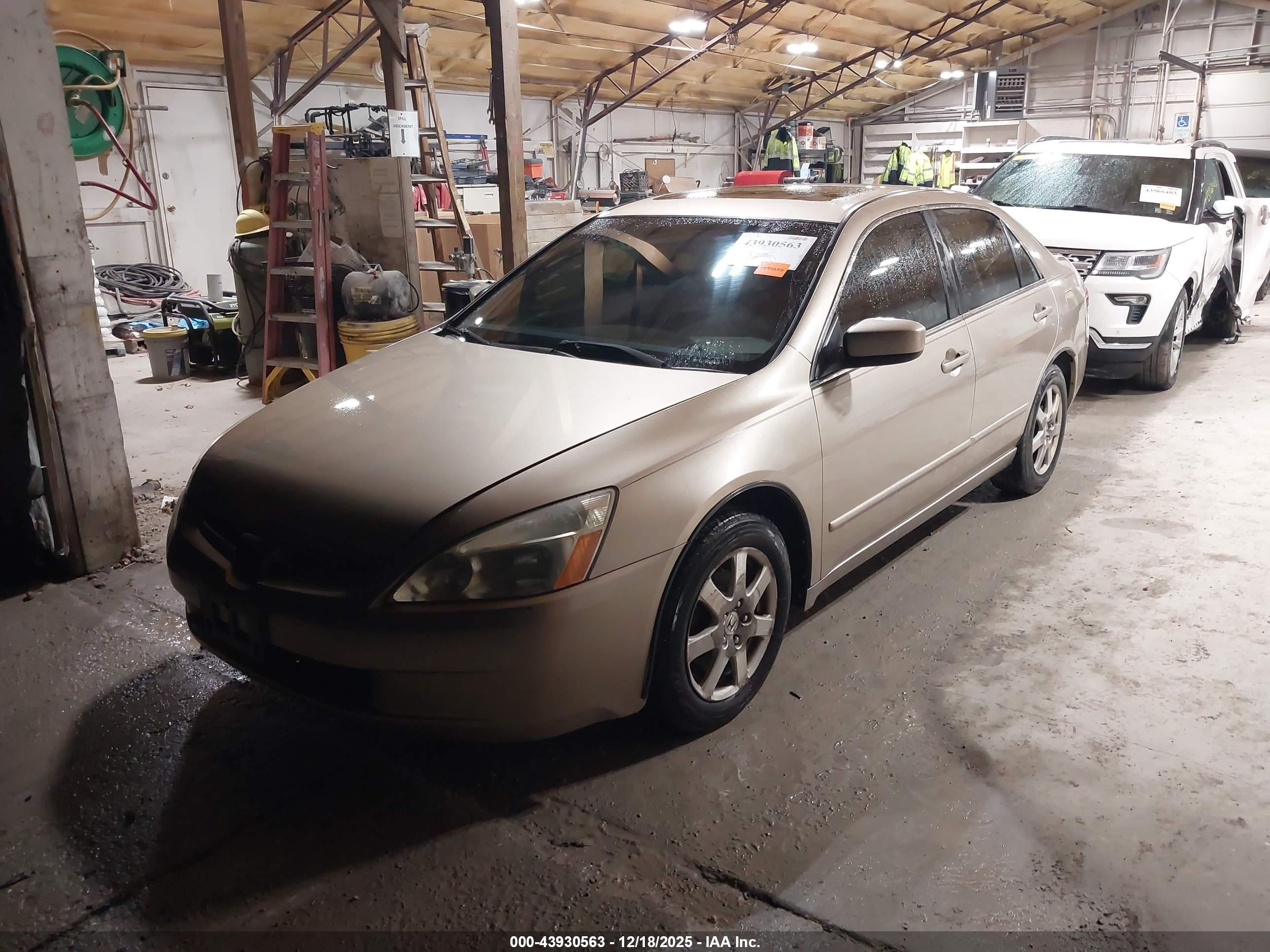 HONDA ACCORD image 2