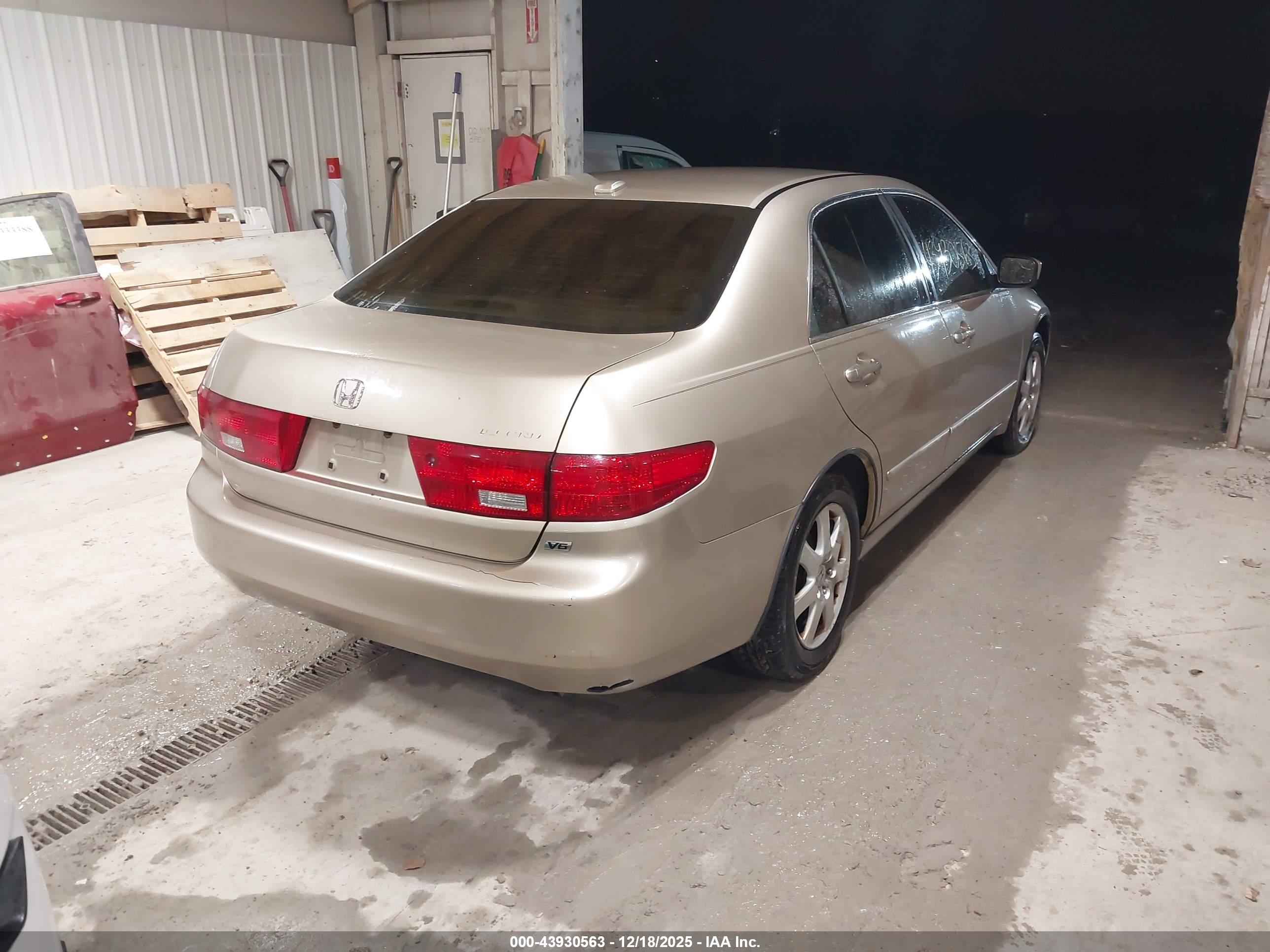 HONDA ACCORD image 4