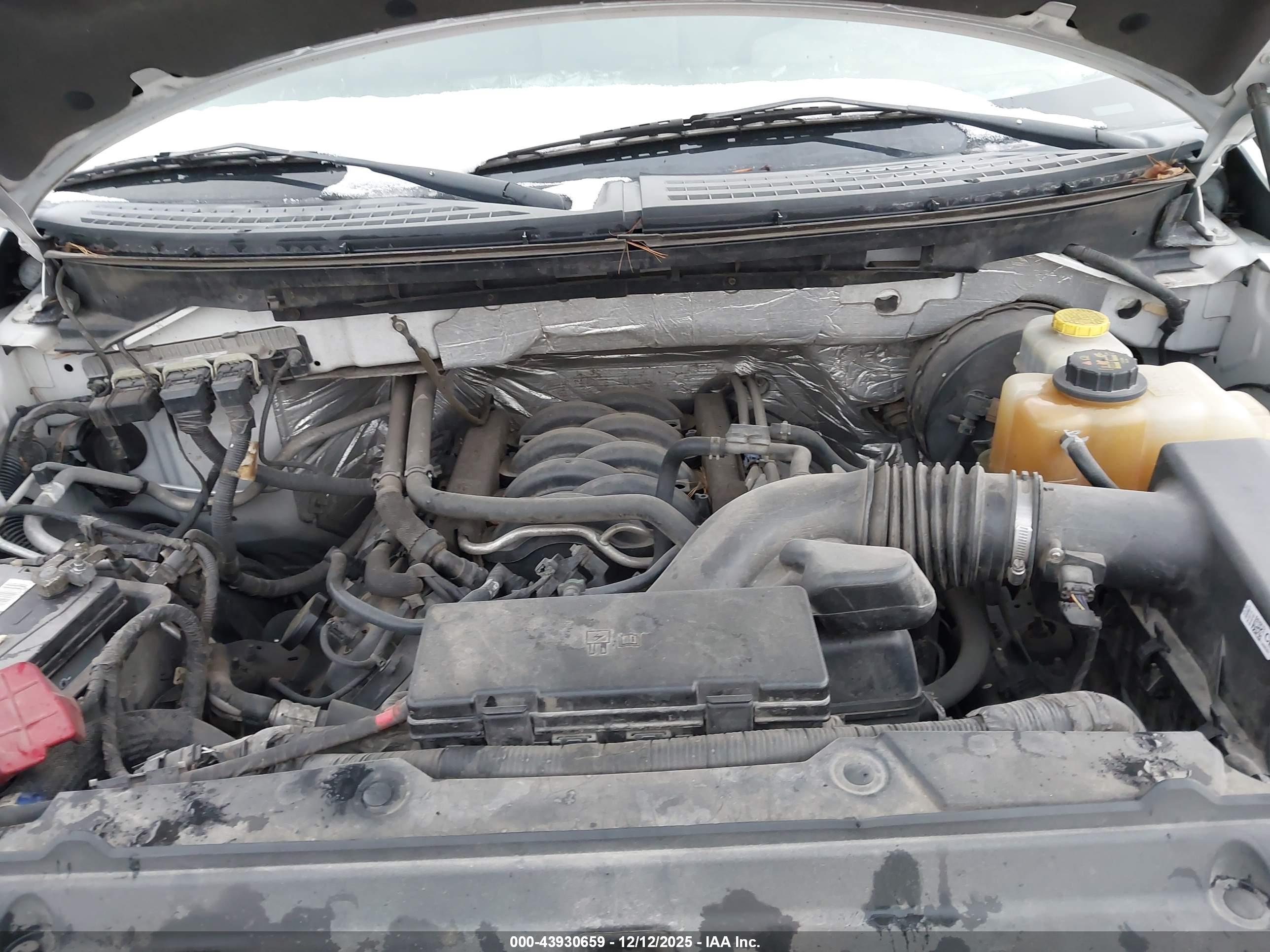 FORD F-150 image 10