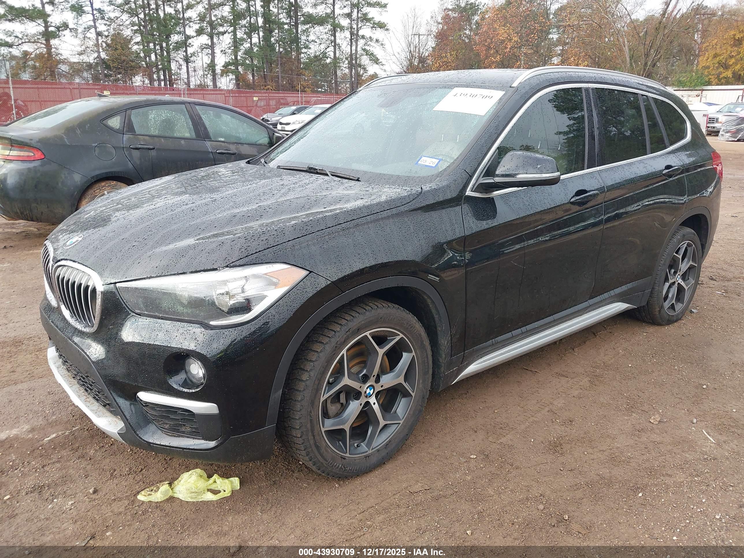 BMW X1 image 2