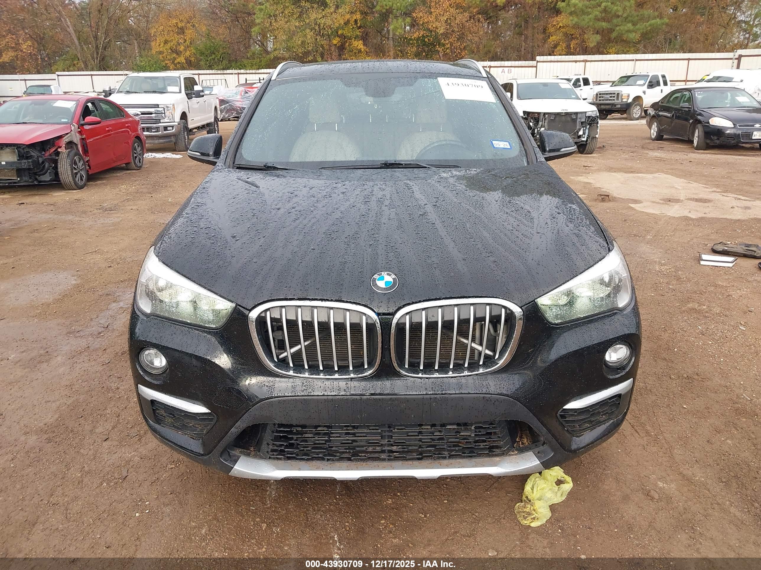BMW X1 image 6
