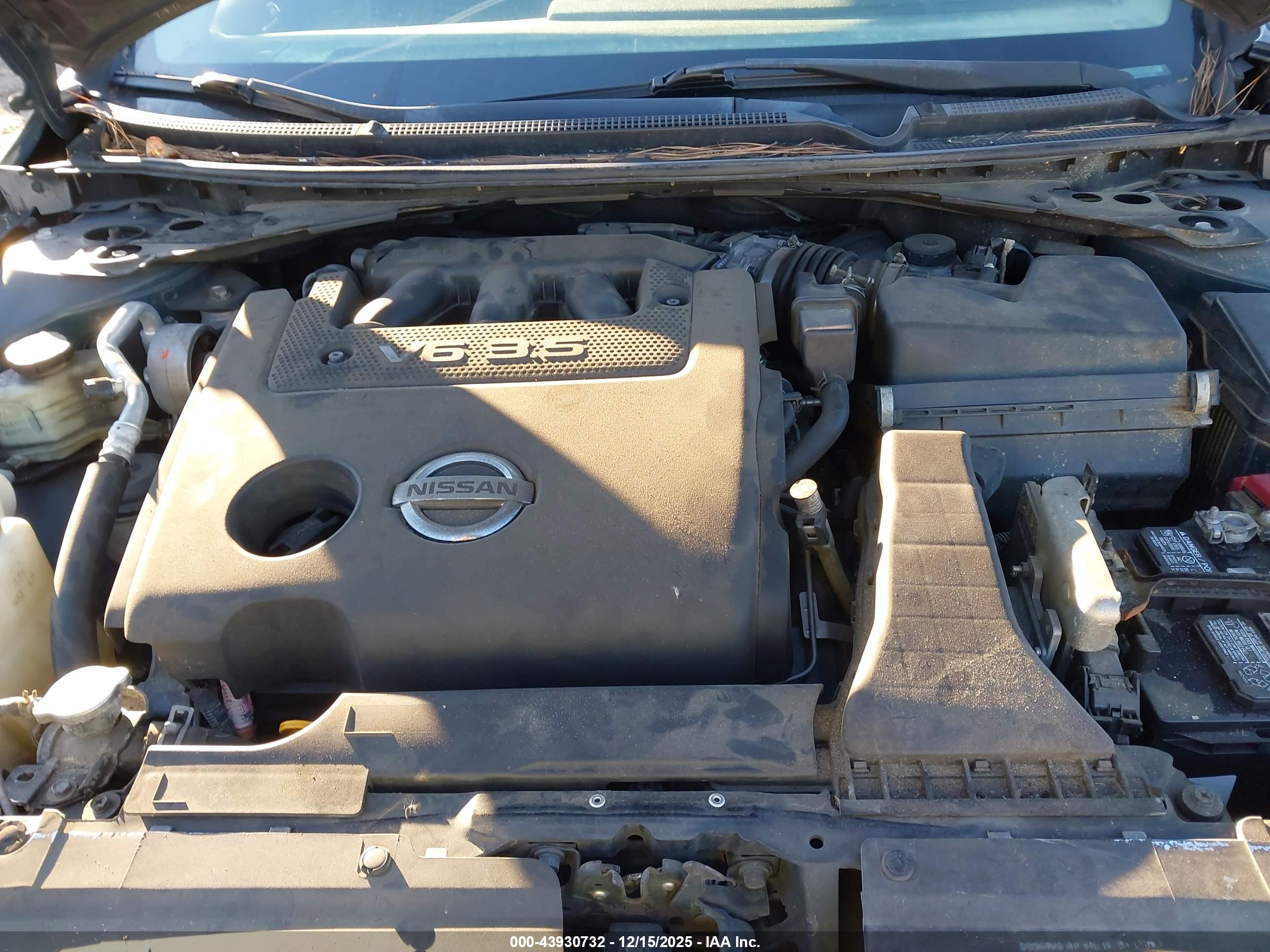 NISSAN ALTIMA image 10