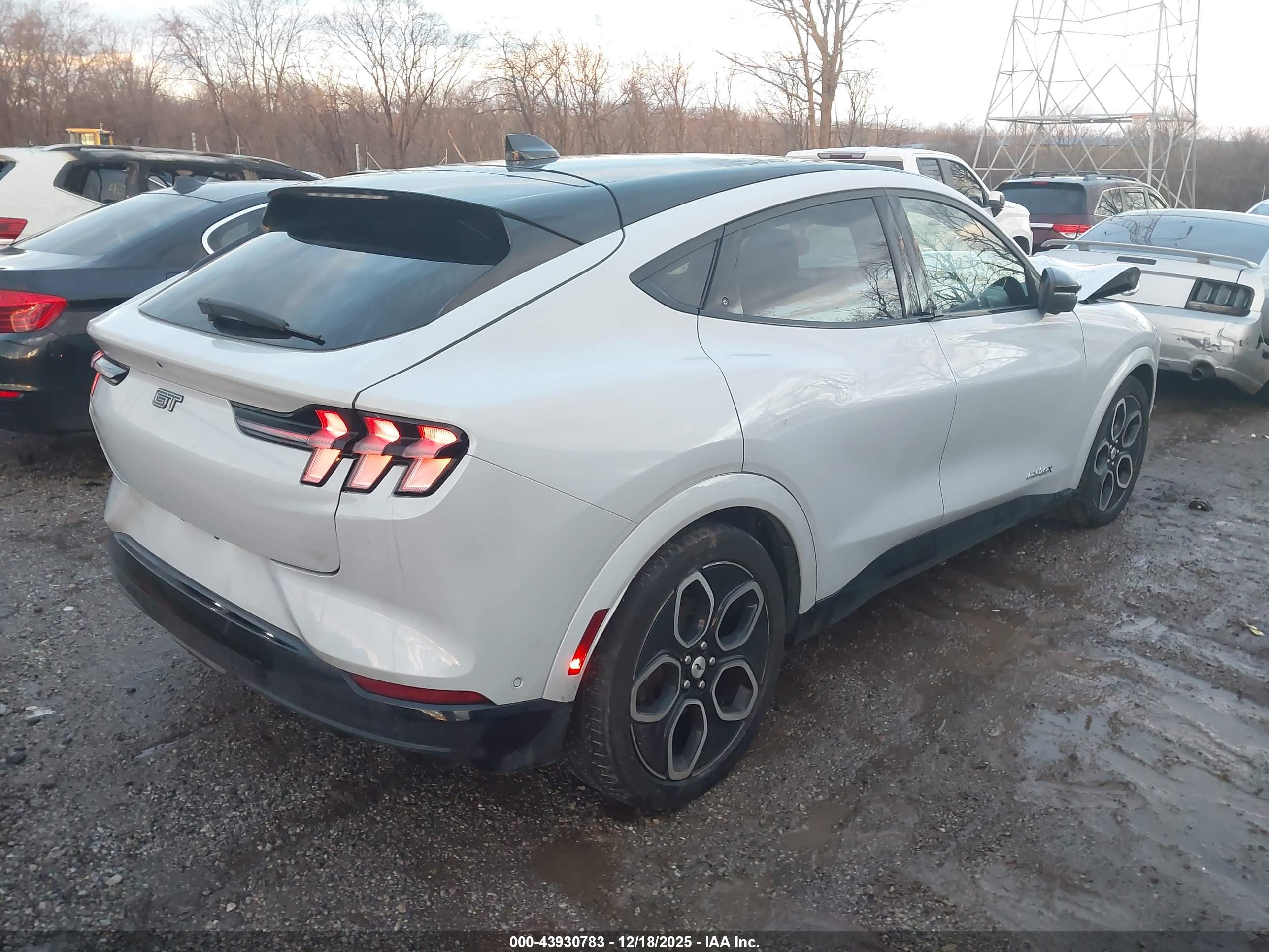 FORD MUSTANG image 4