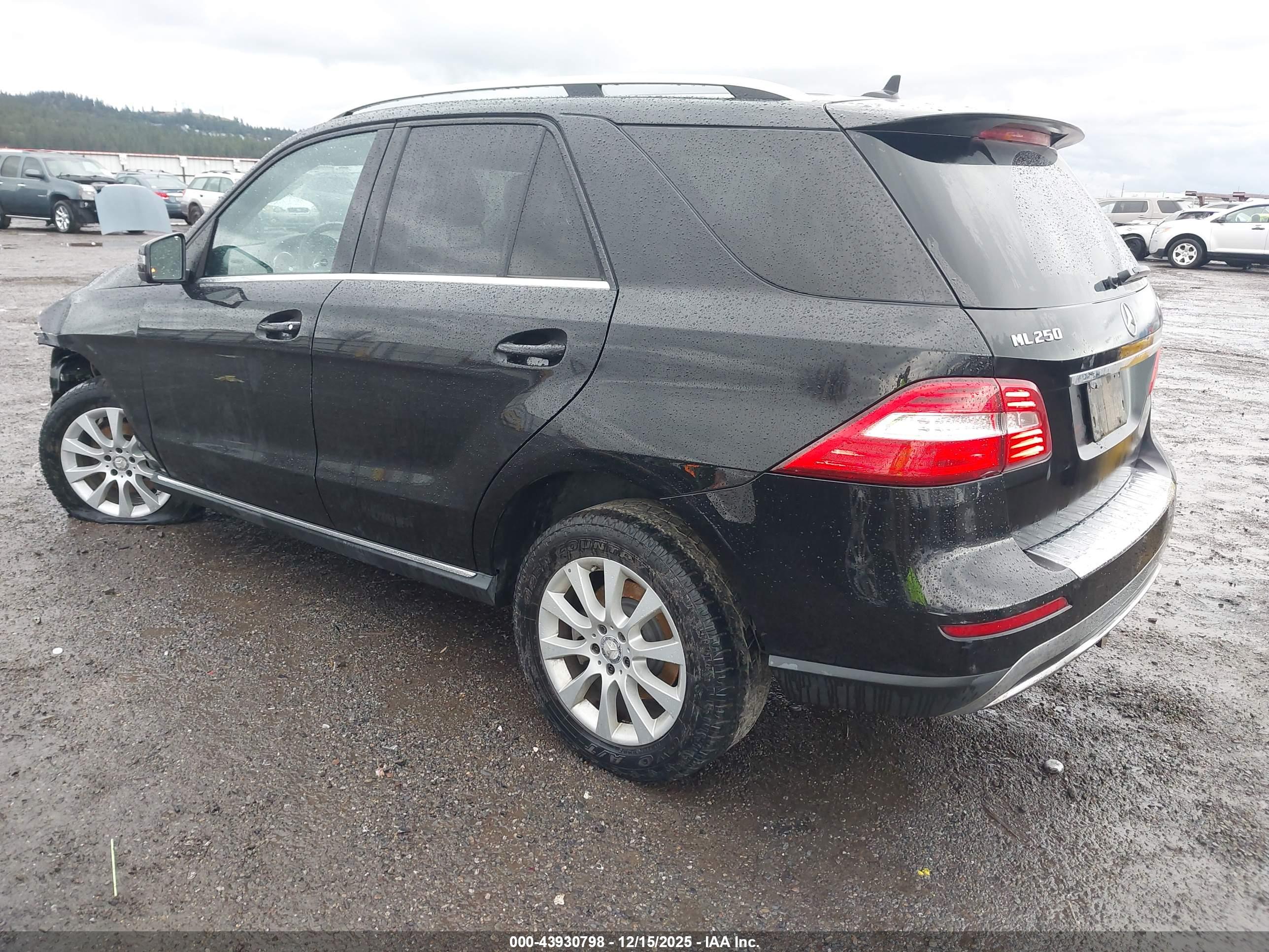 MERCEDES-BENZ ML image 3