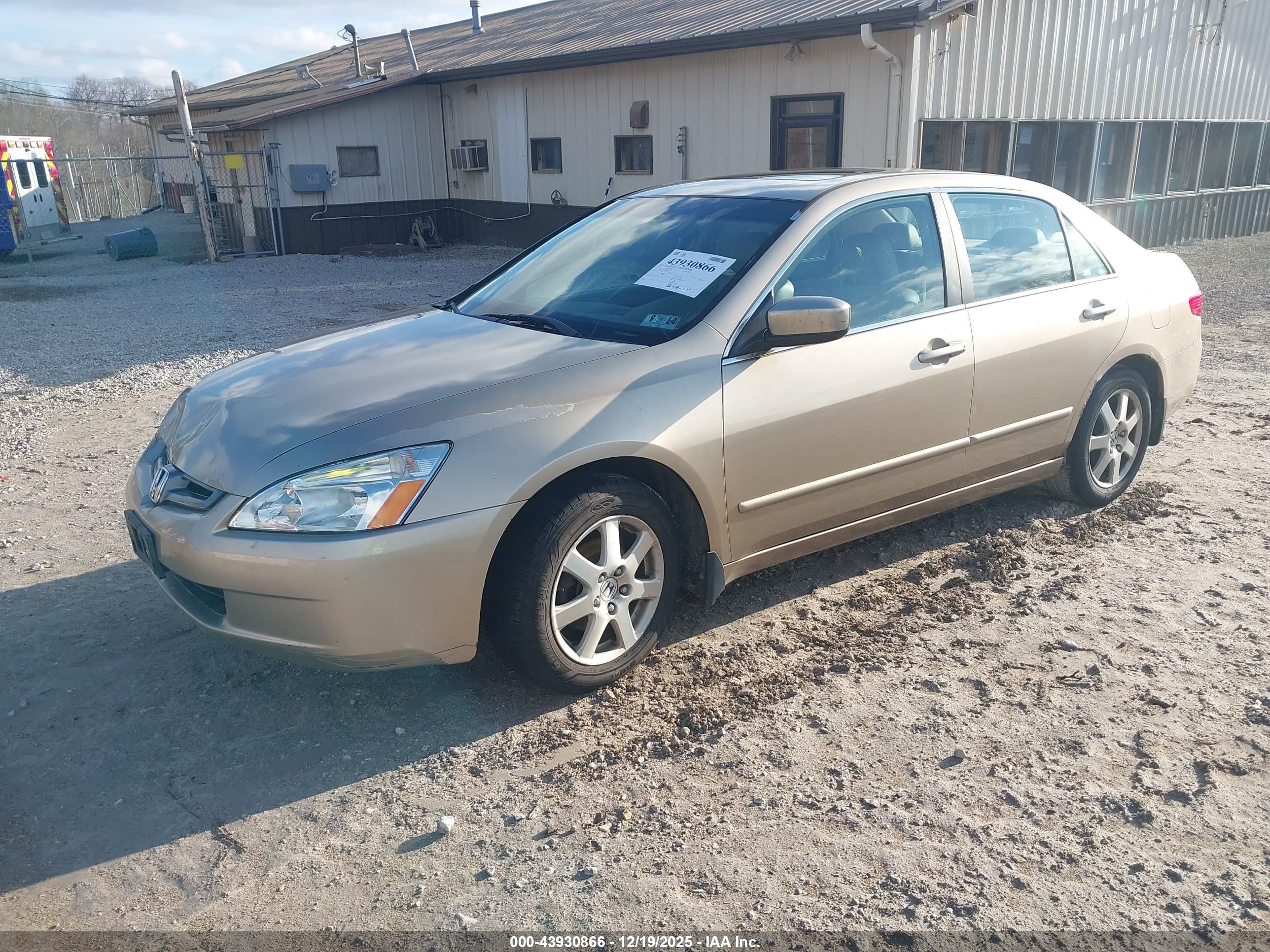 HONDA ACCORD image 2