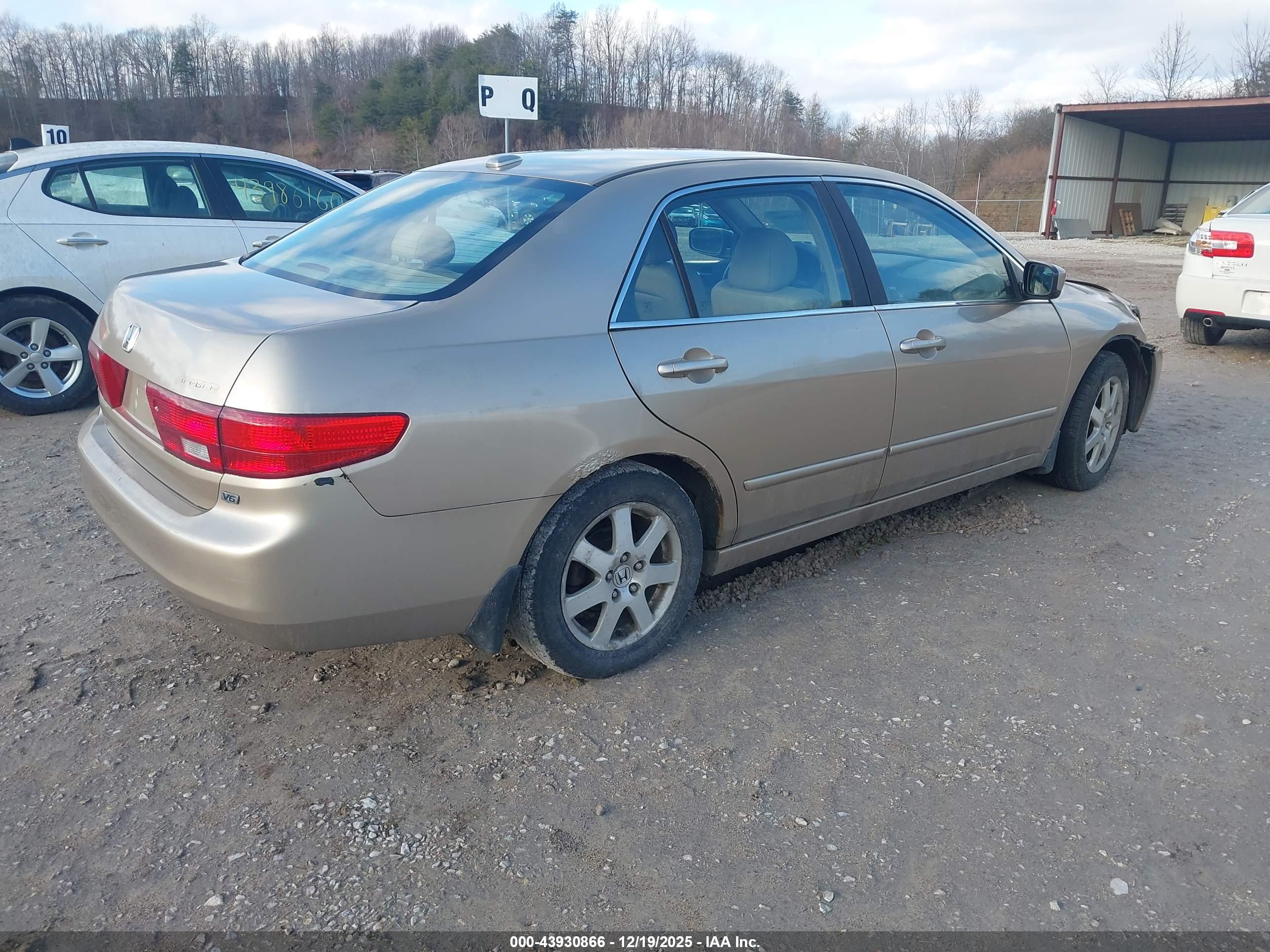 HONDA ACCORD image 4