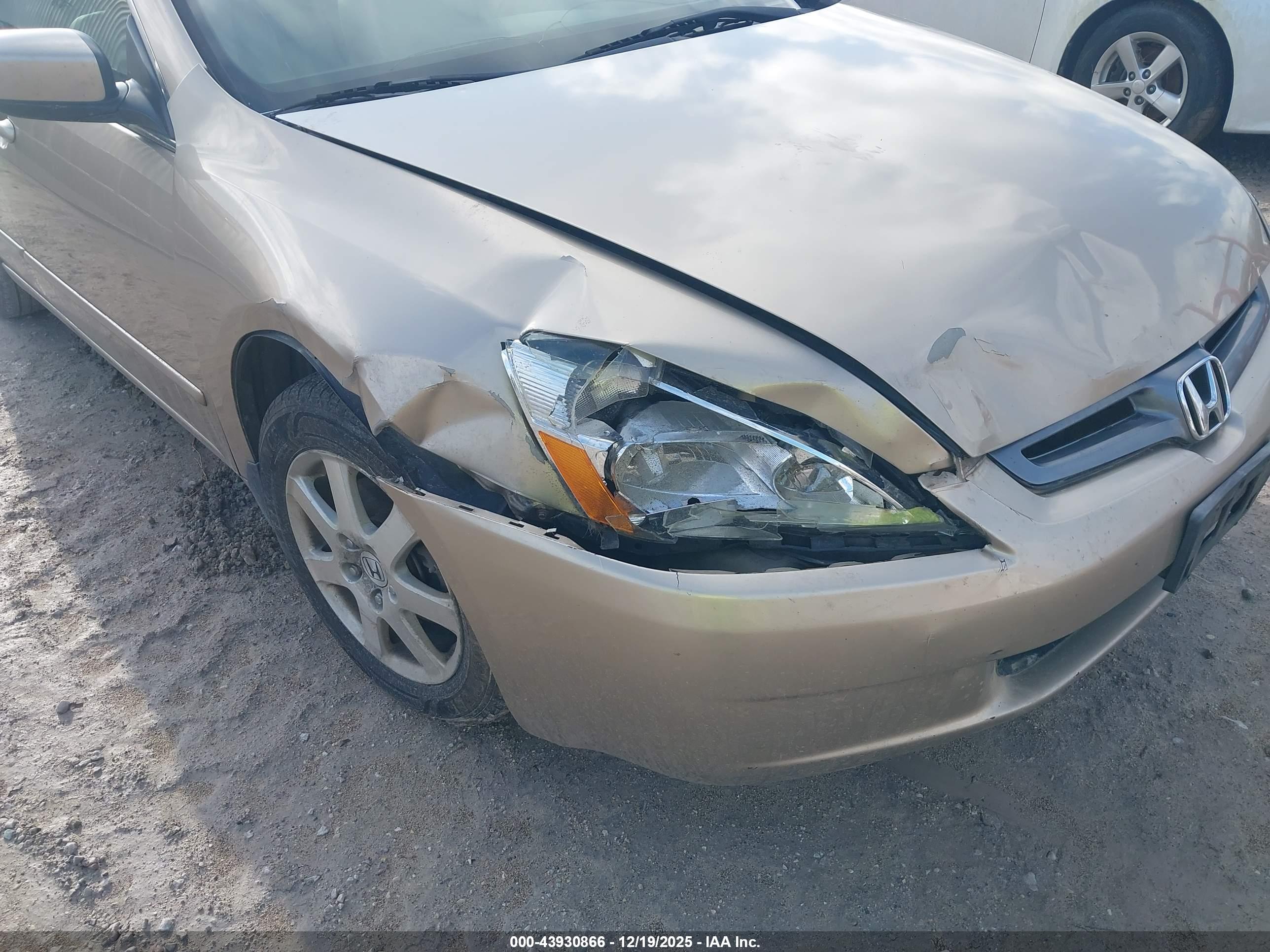 HONDA ACCORD image 6