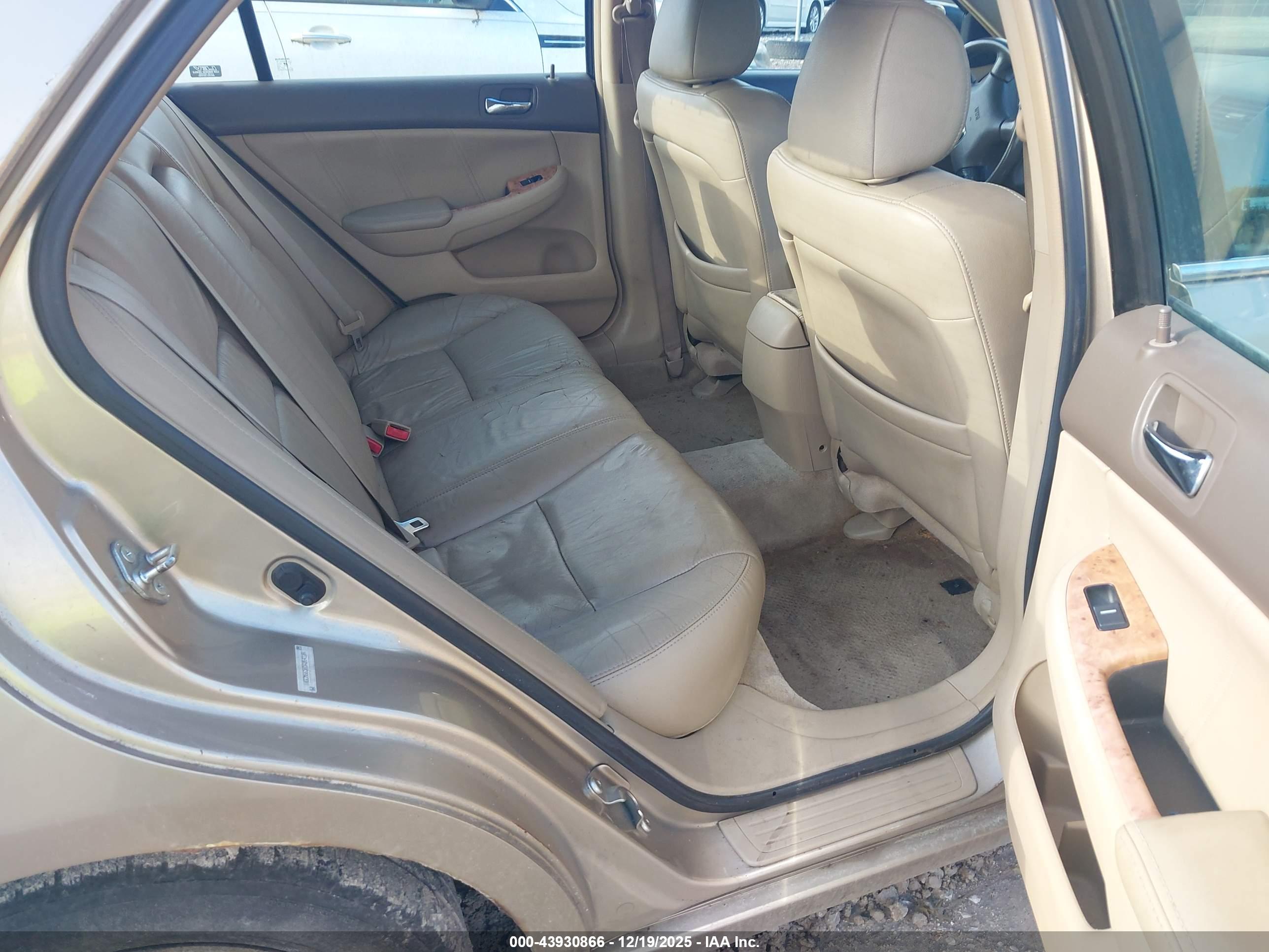 HONDA ACCORD image 8