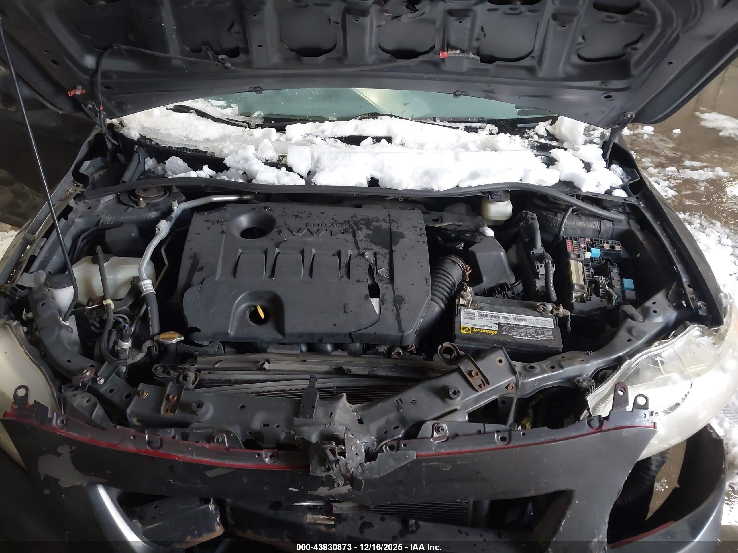 TOYOTA COROLLA image 10