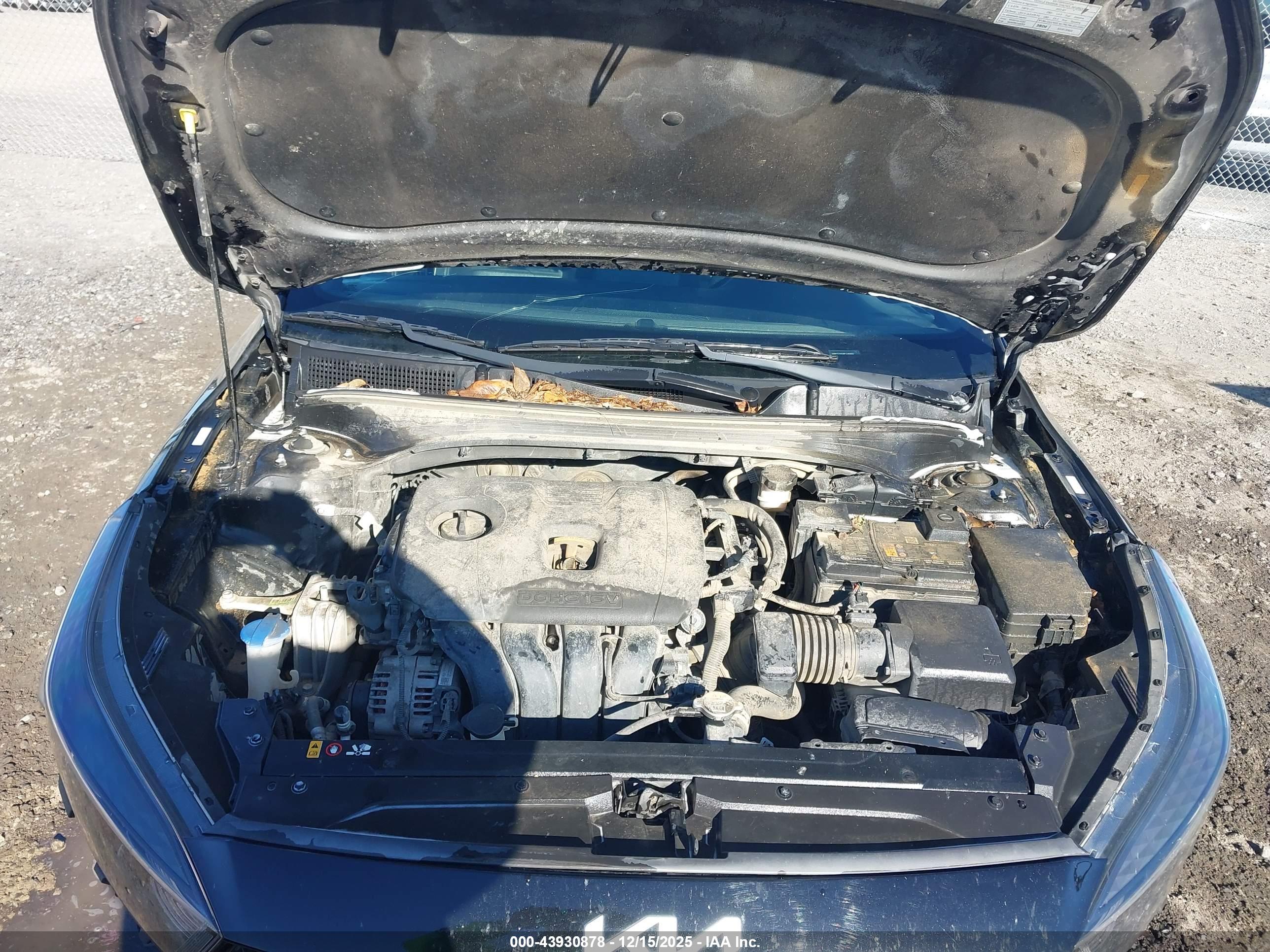 KIA FORTE image 10