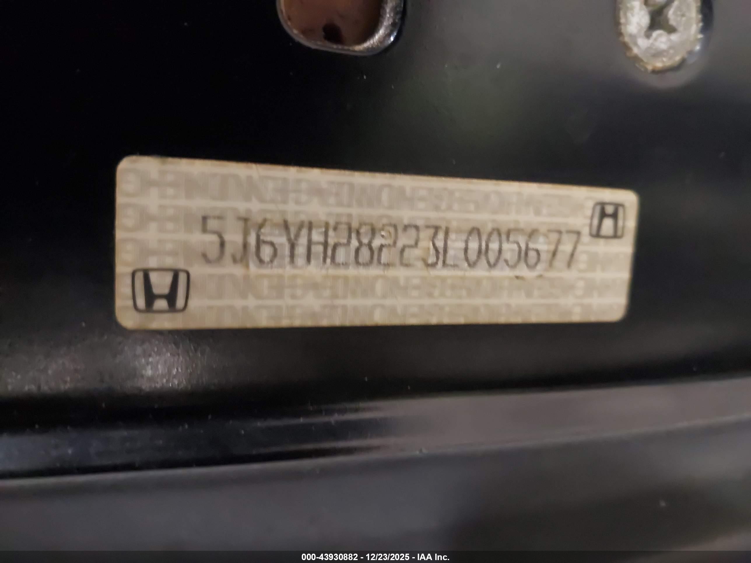 HONDA ELEMENT image 9