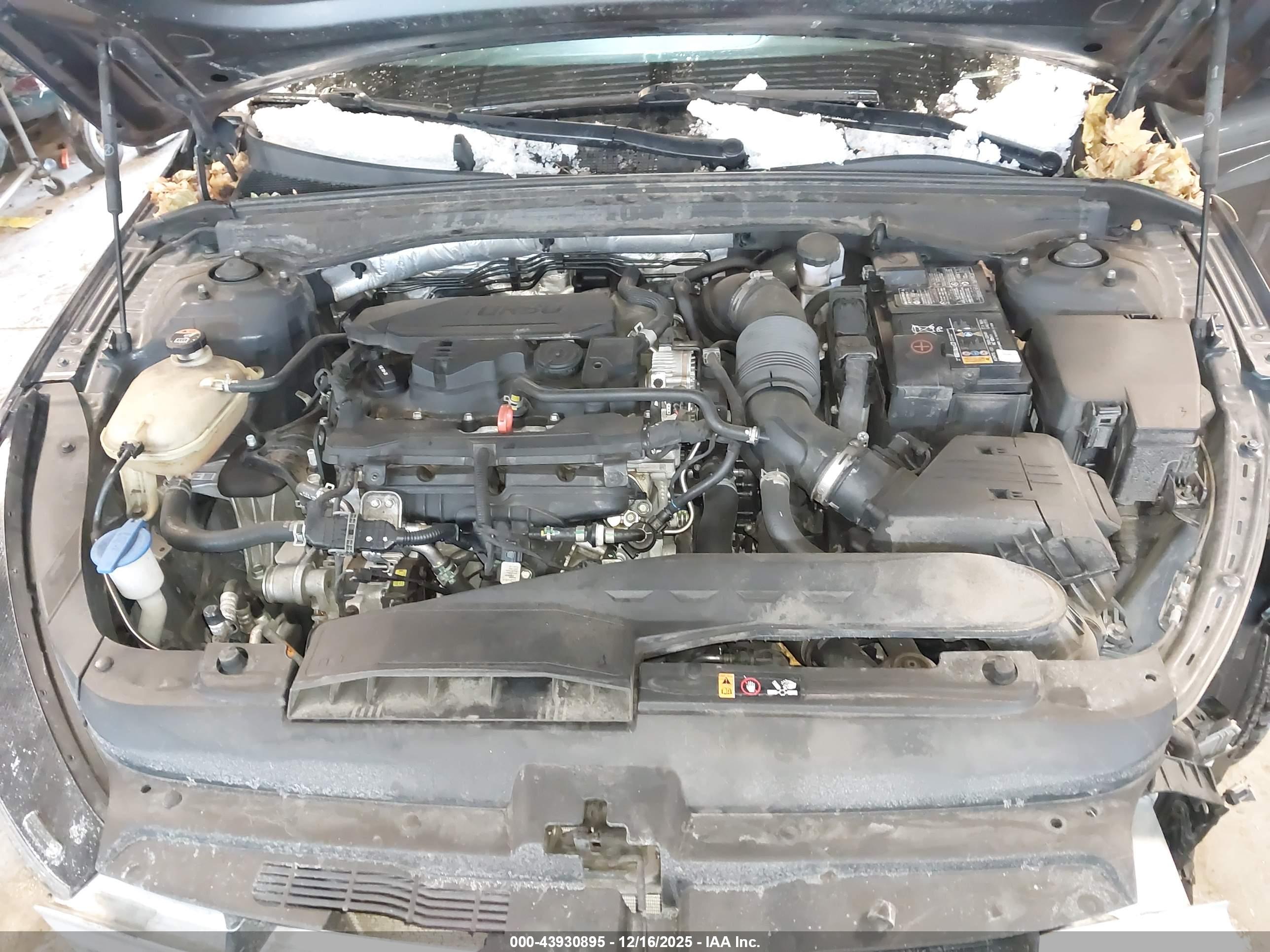 KIA K5 image 10