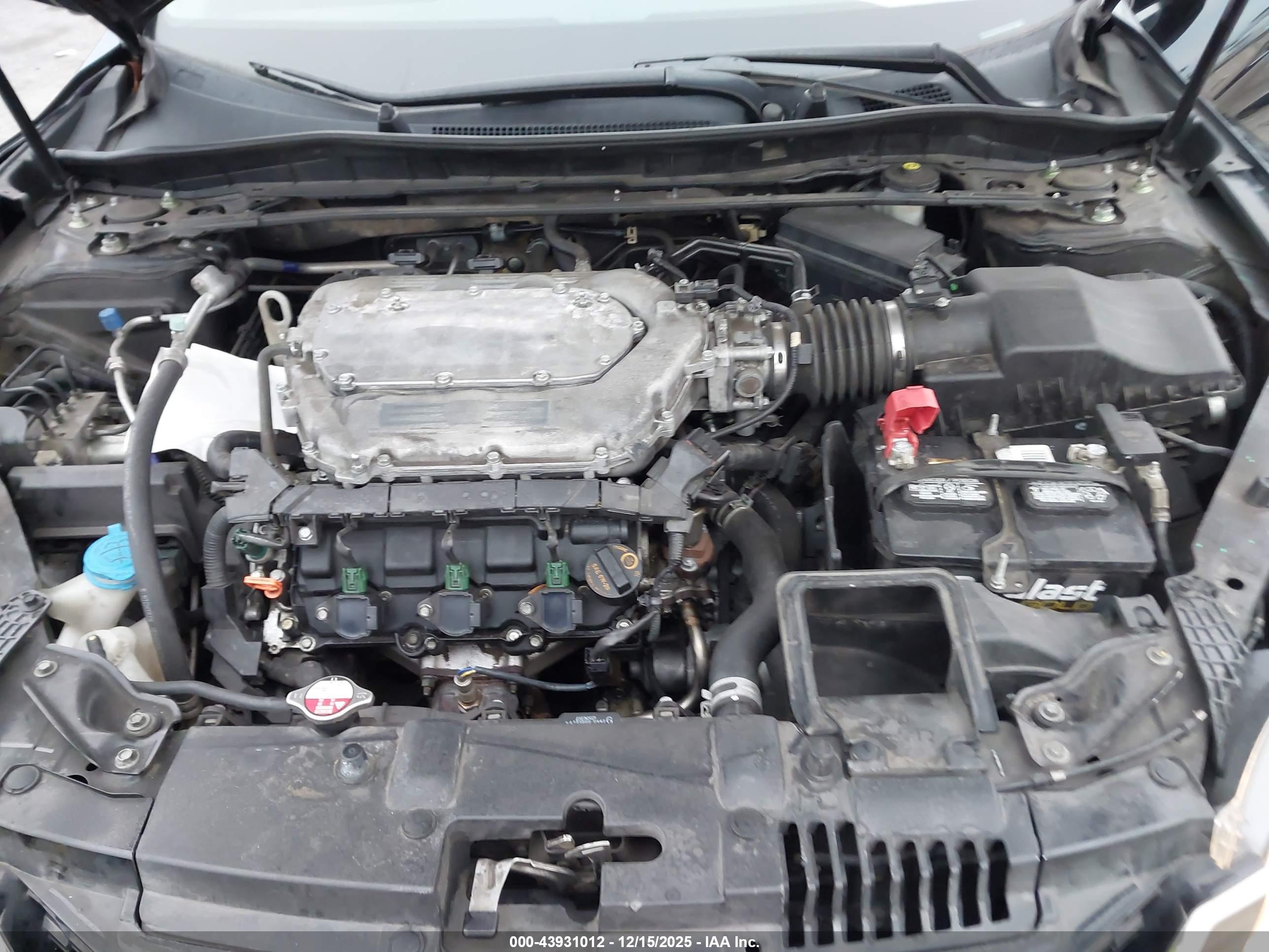HONDA ACCORD image 10
