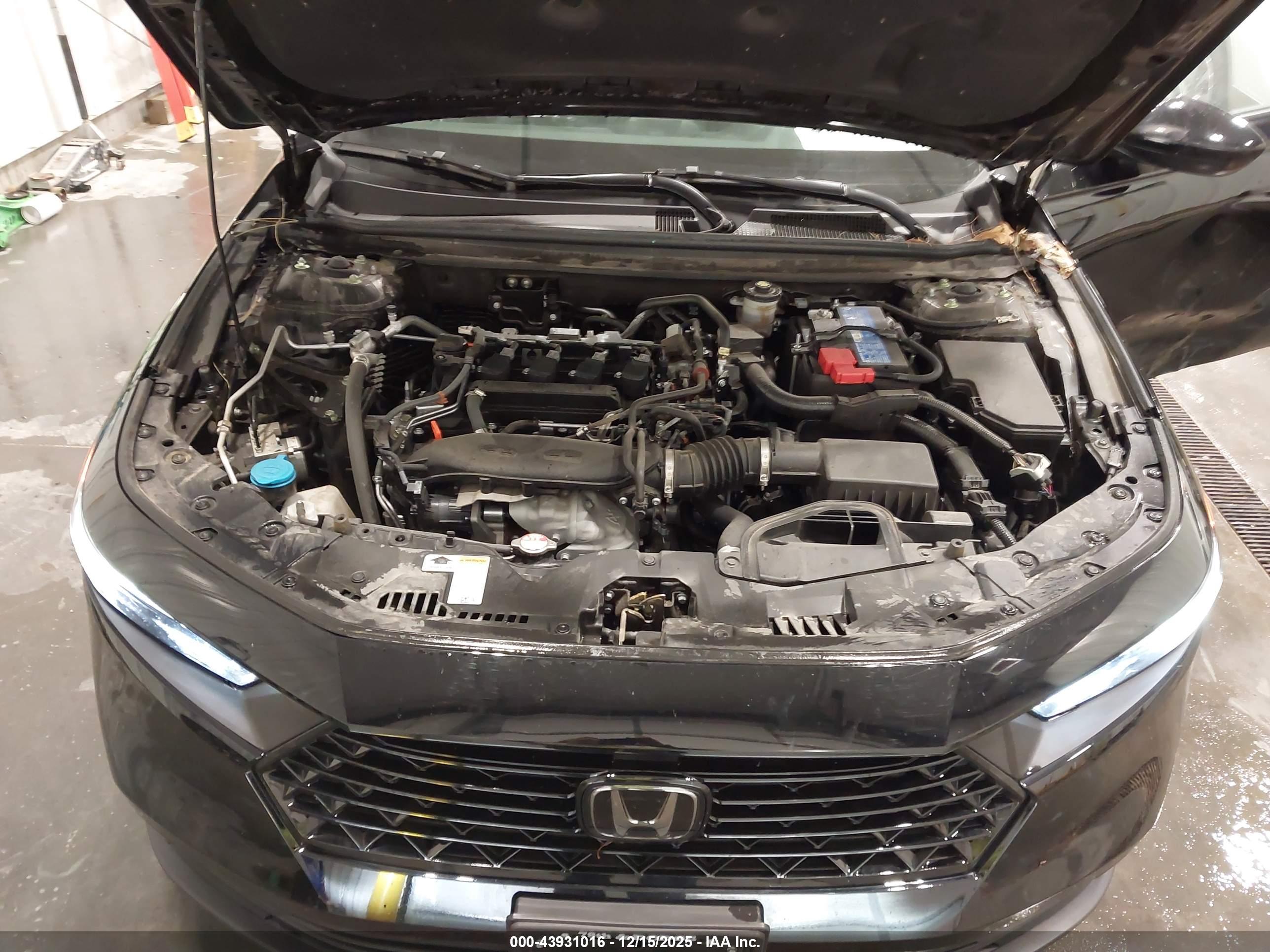 HONDA ACCORD image 10