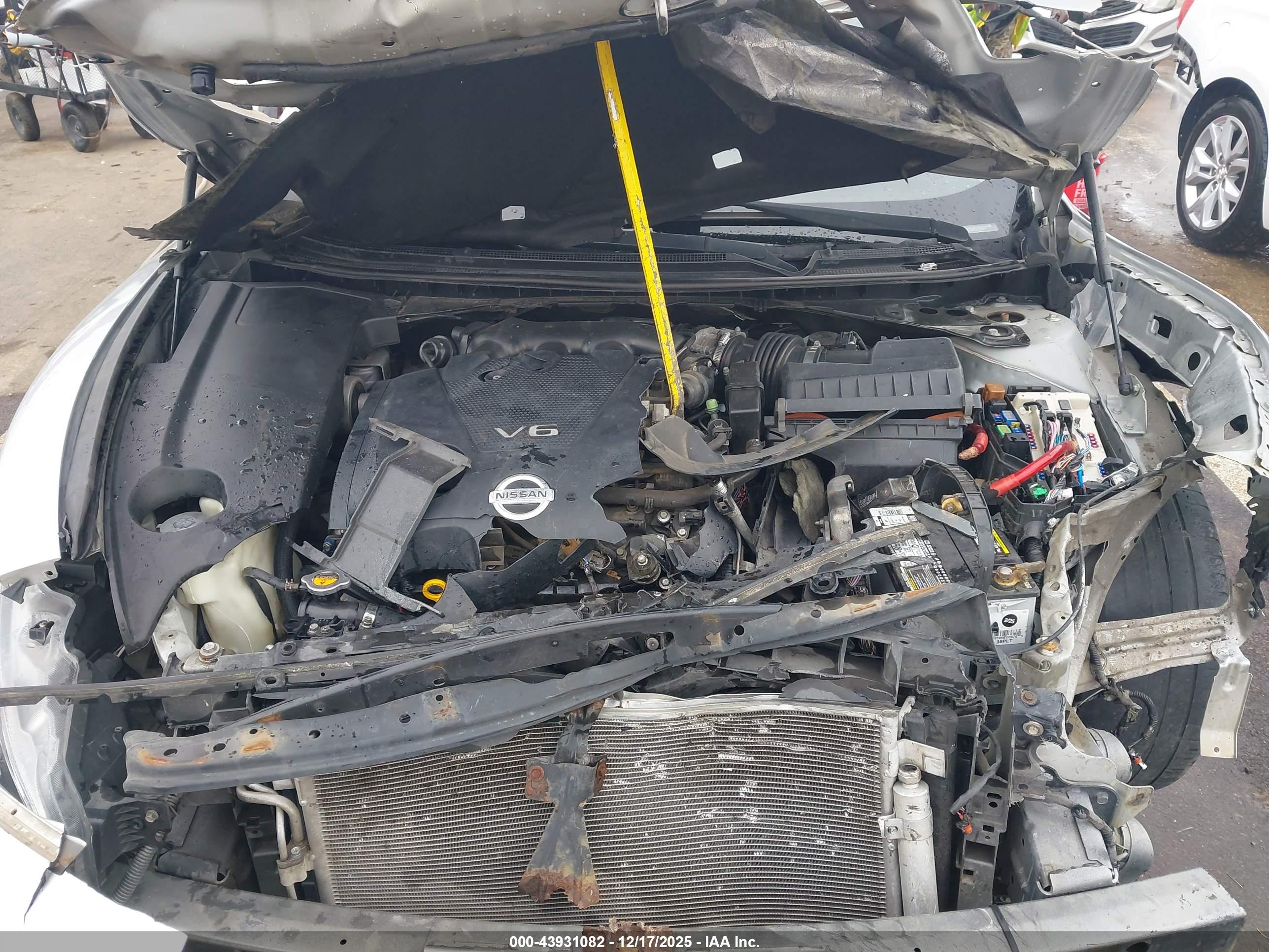 NISSAN MAXIMA image 10