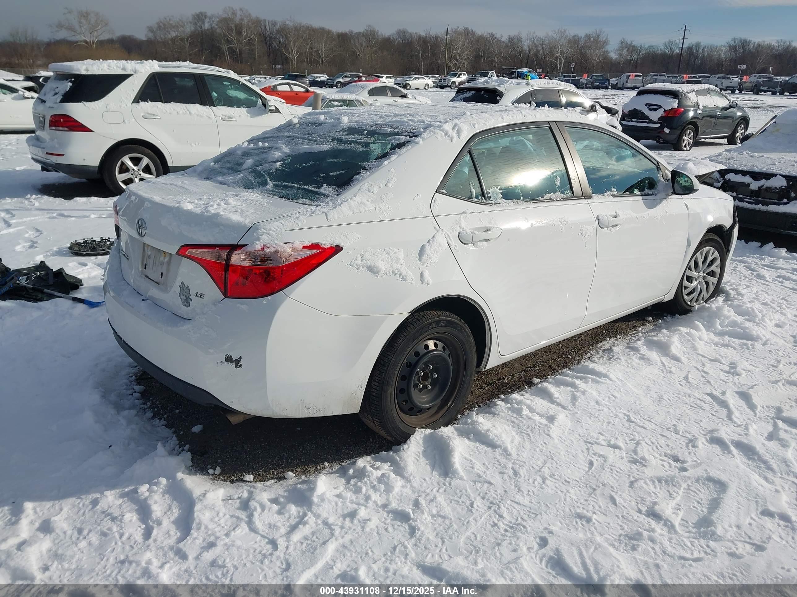 TOYOTA COROLLA image 4