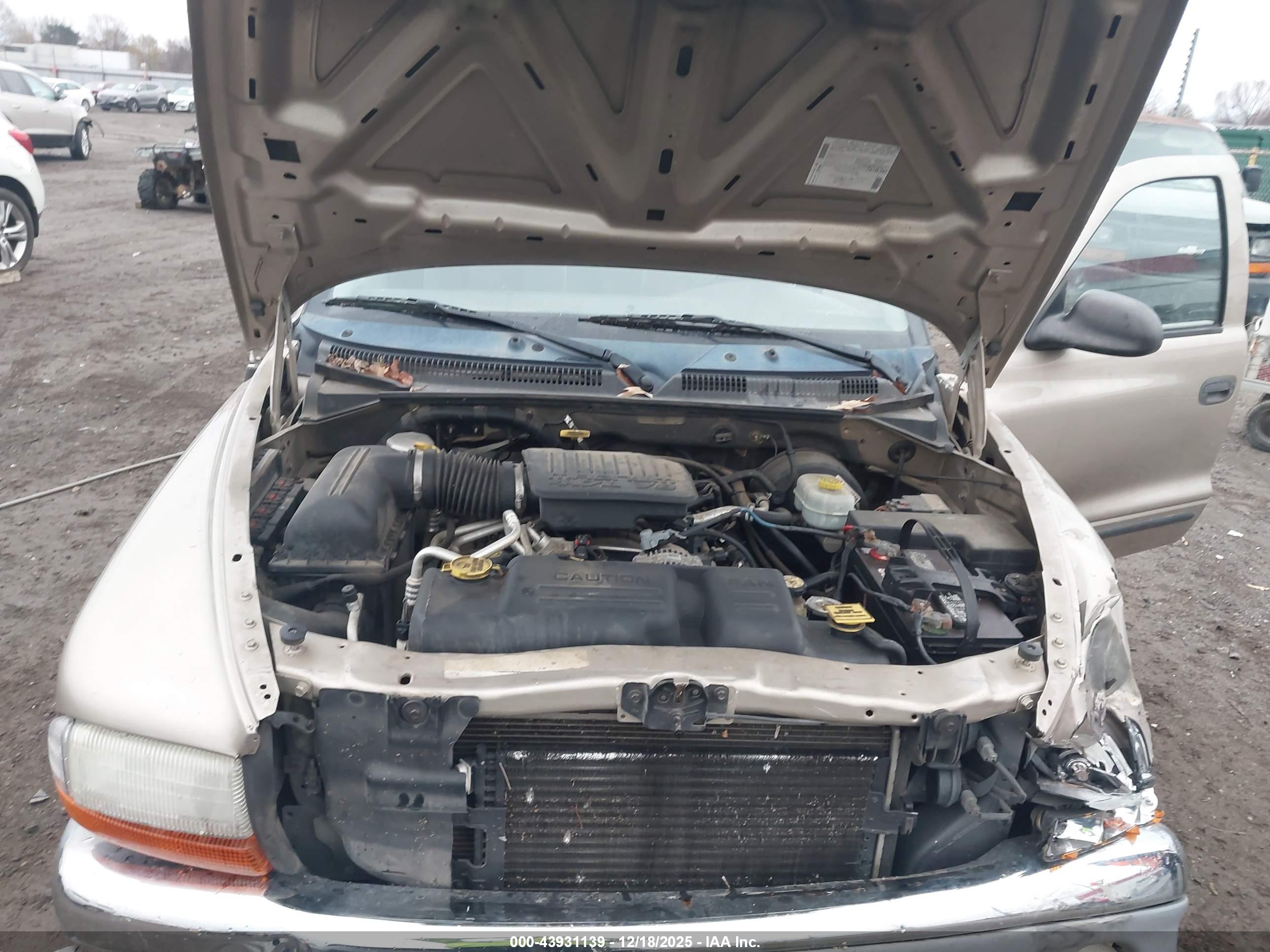 DODGE DAKOTA image 10