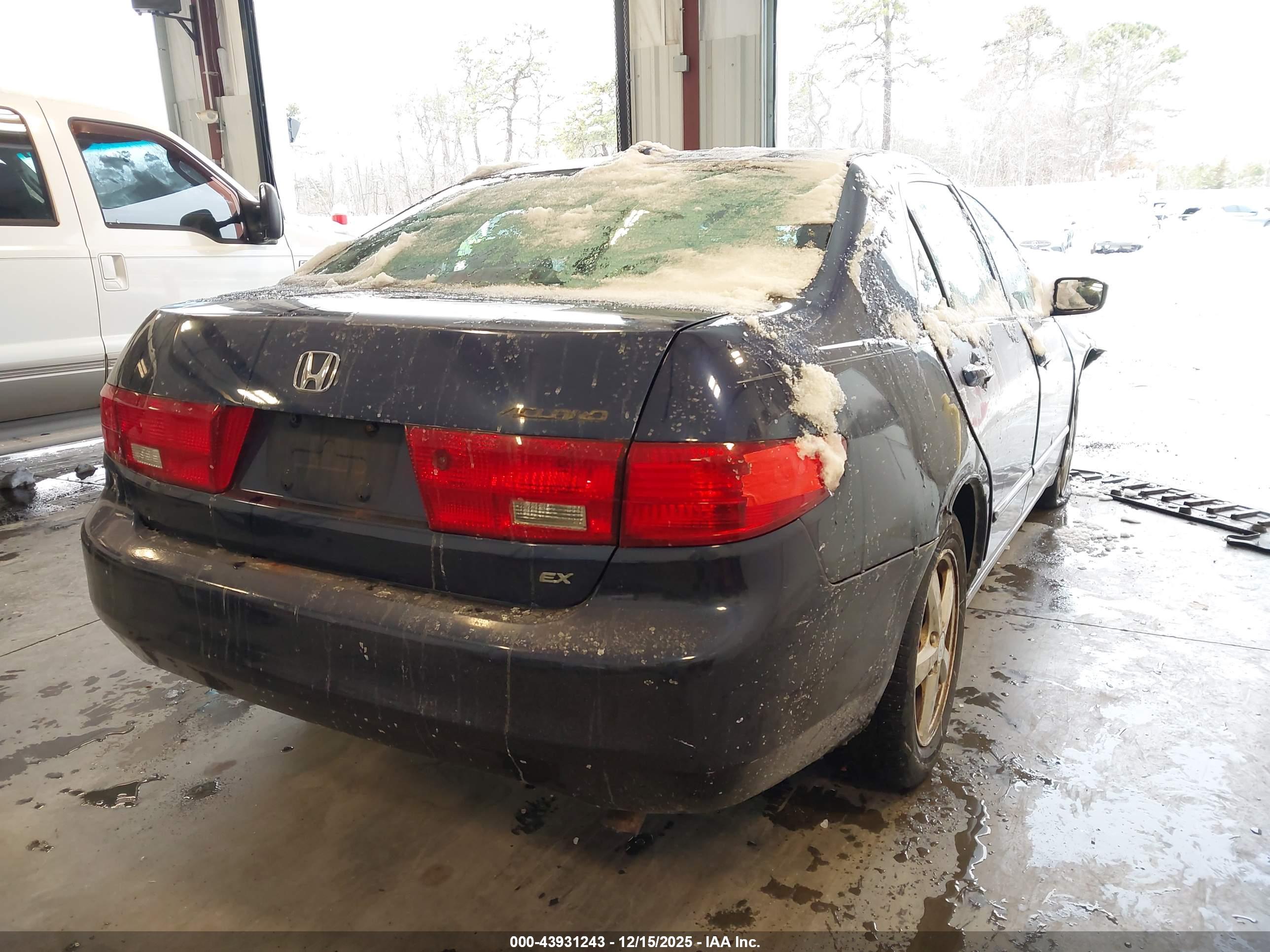 HONDA ACCORD image 4