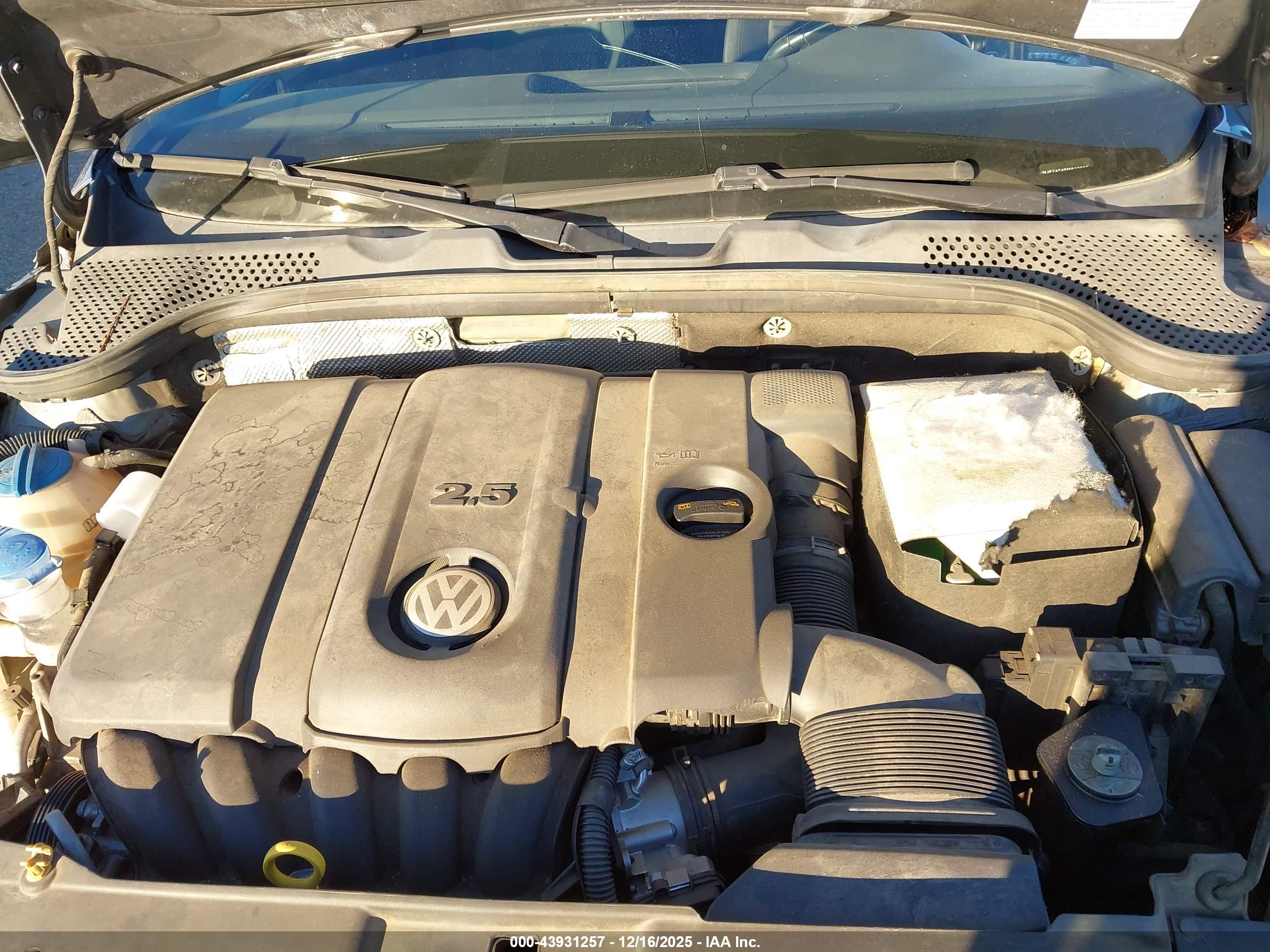 VOLKSWAGEN BEETLE image 10