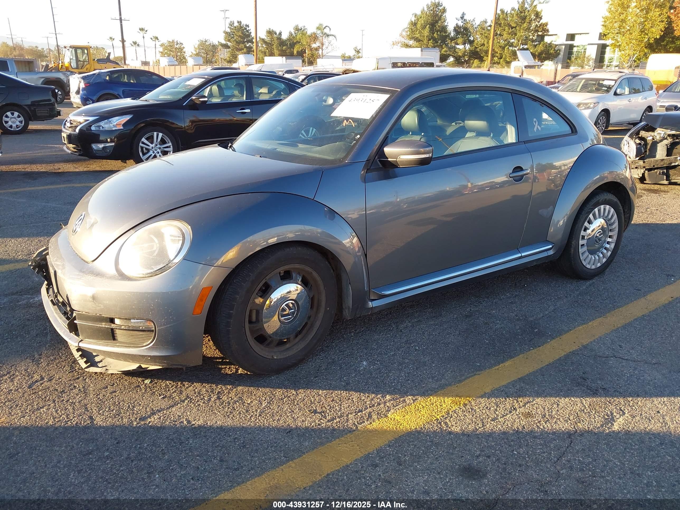VOLKSWAGEN BEETLE image 2