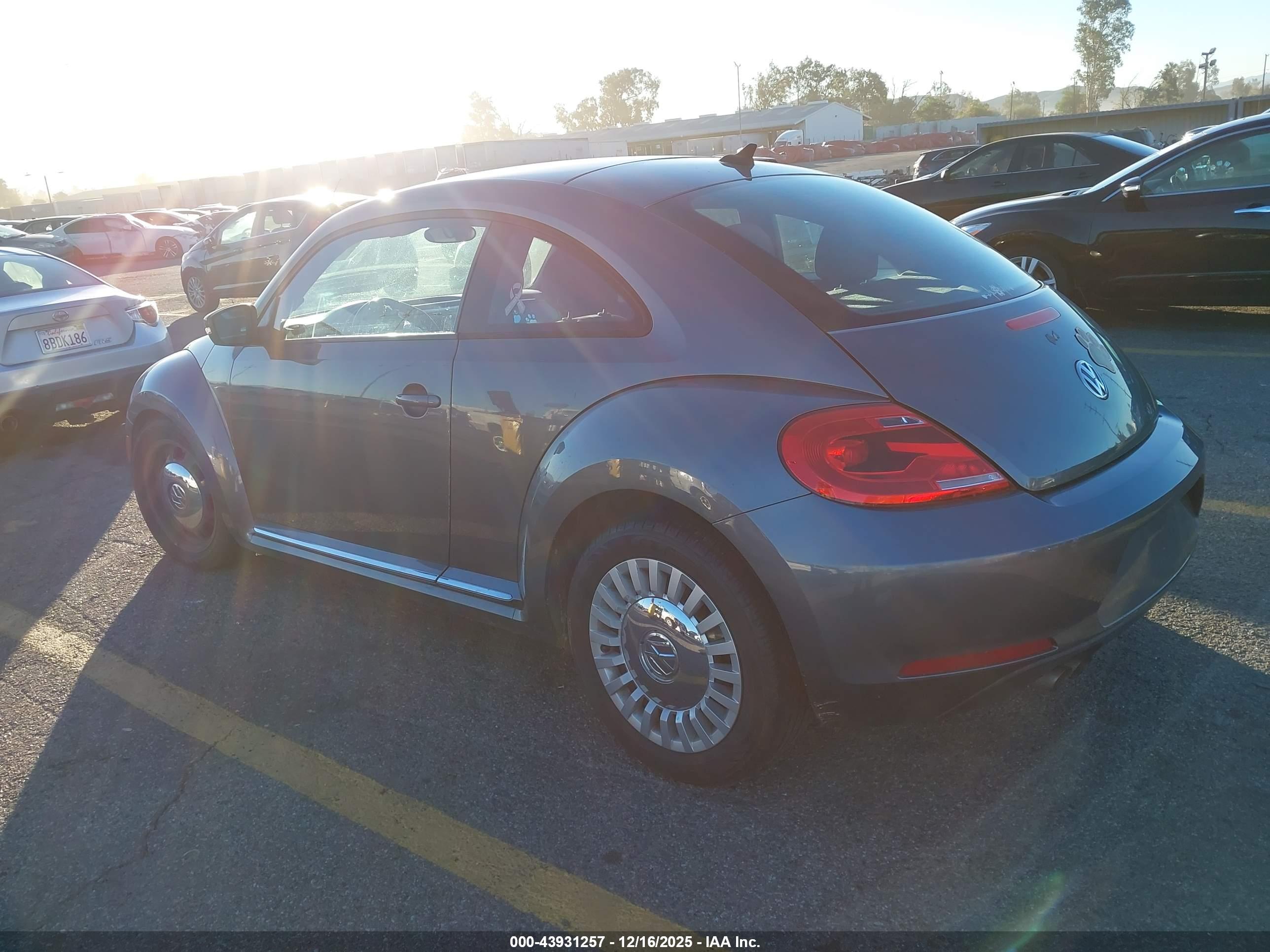 VOLKSWAGEN BEETLE image 3
