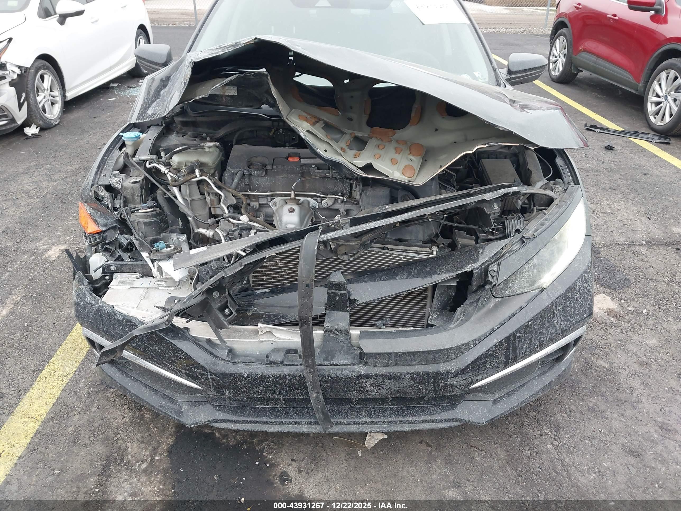 HONDA CIVIC image 6