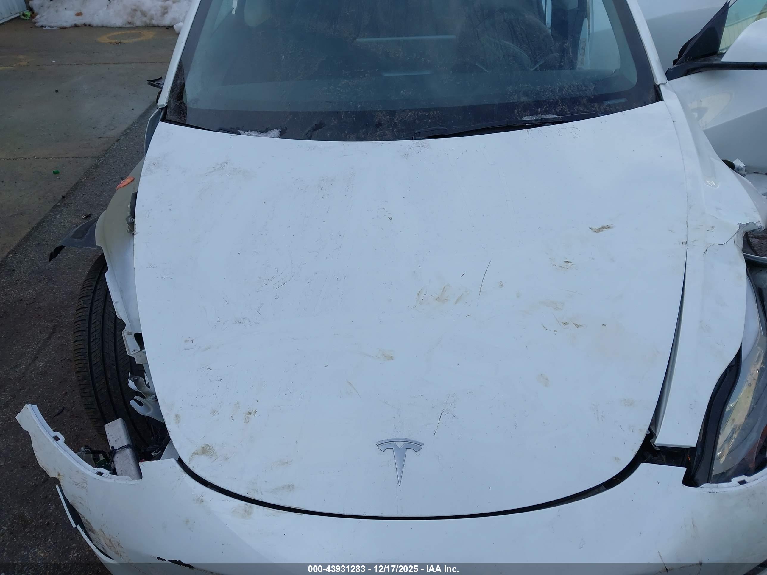 TESLA MODEL image 10