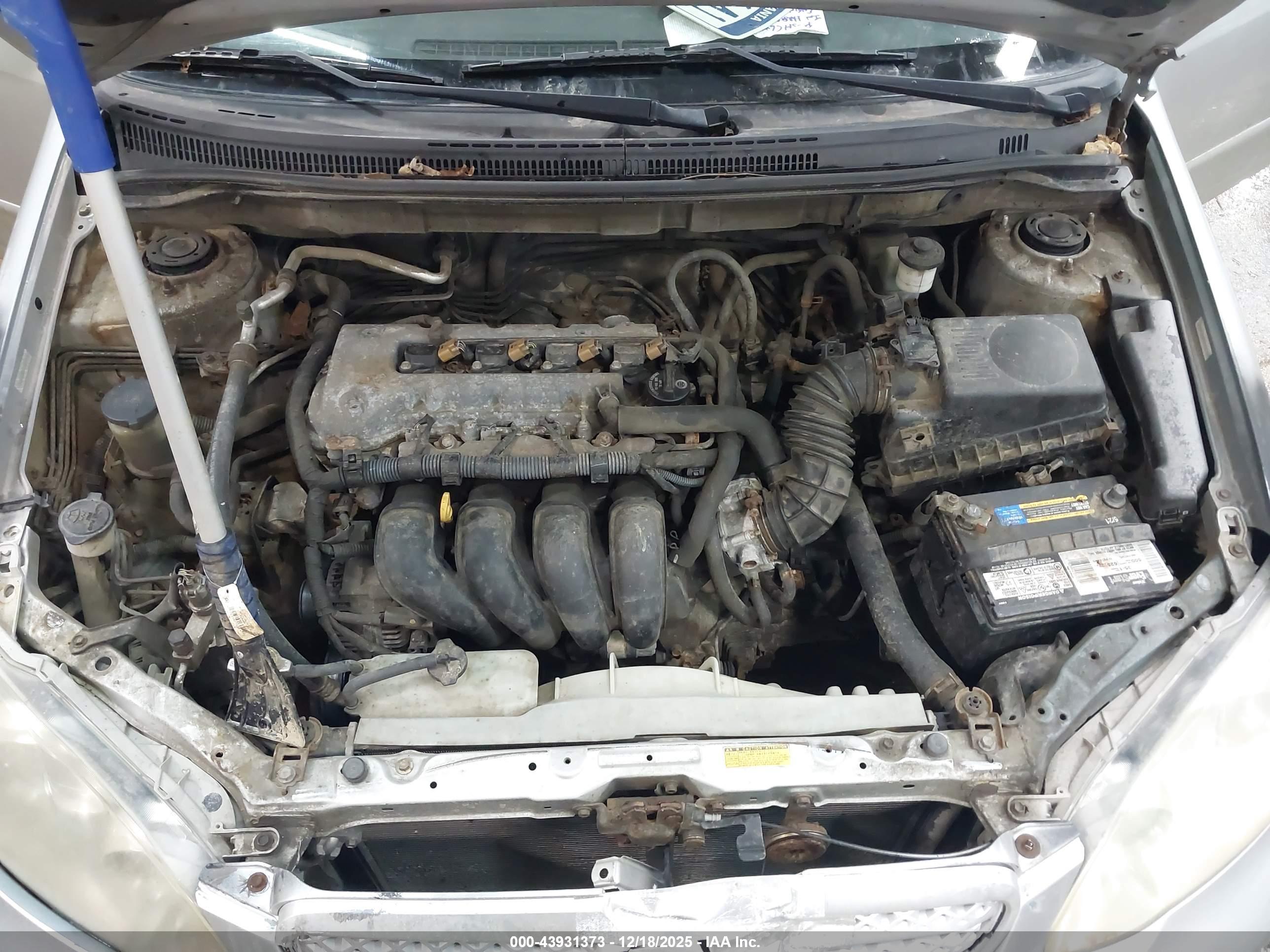 TOYOTA COROLLA image 10