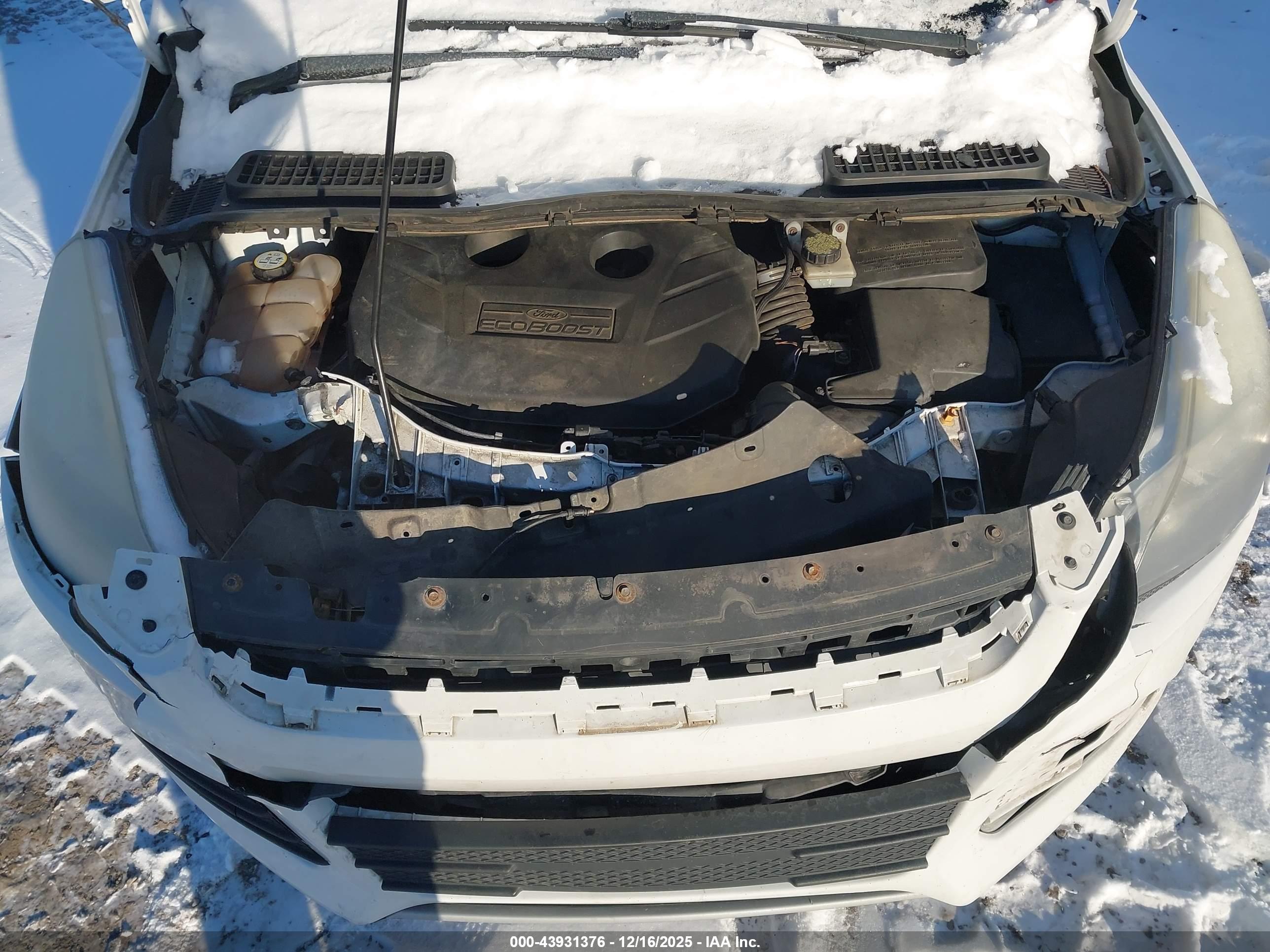 FORD ESCAPE image 10