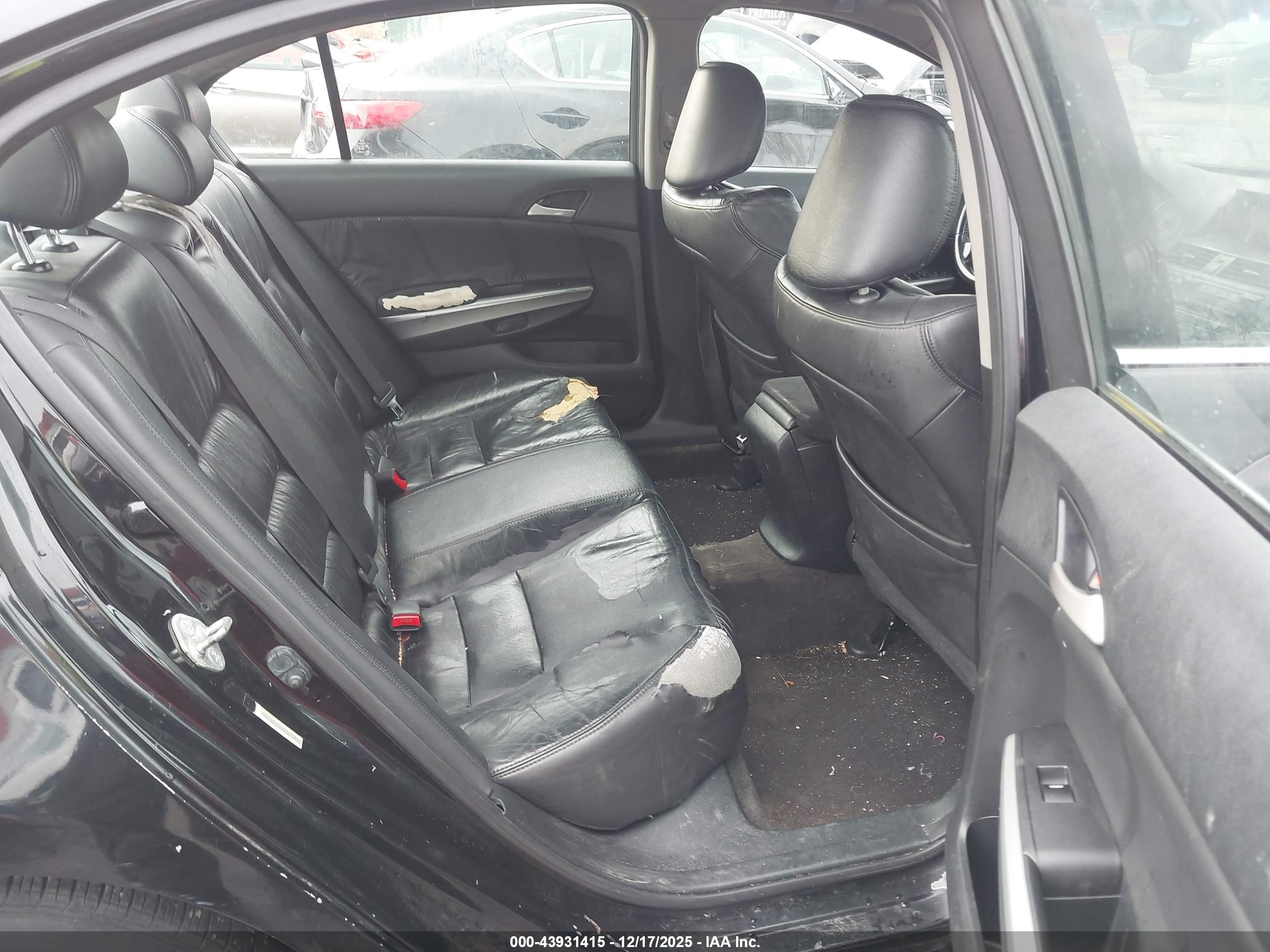 HONDA ACCORD image 8