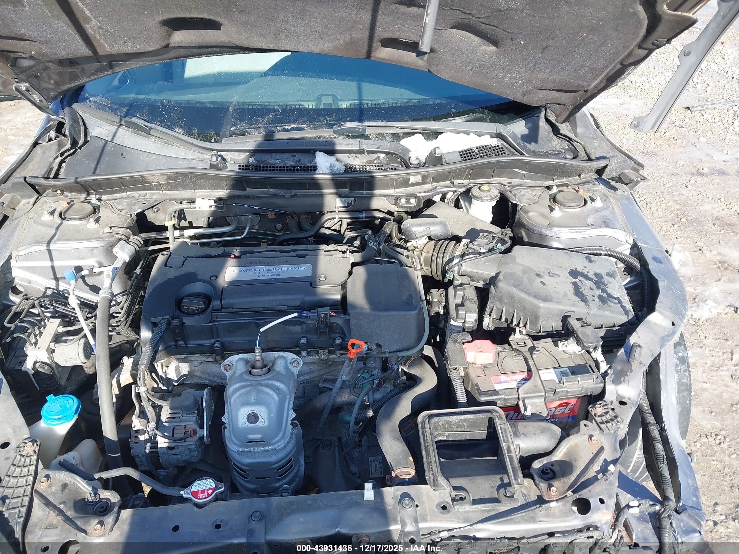 HONDA ACCORD image 10