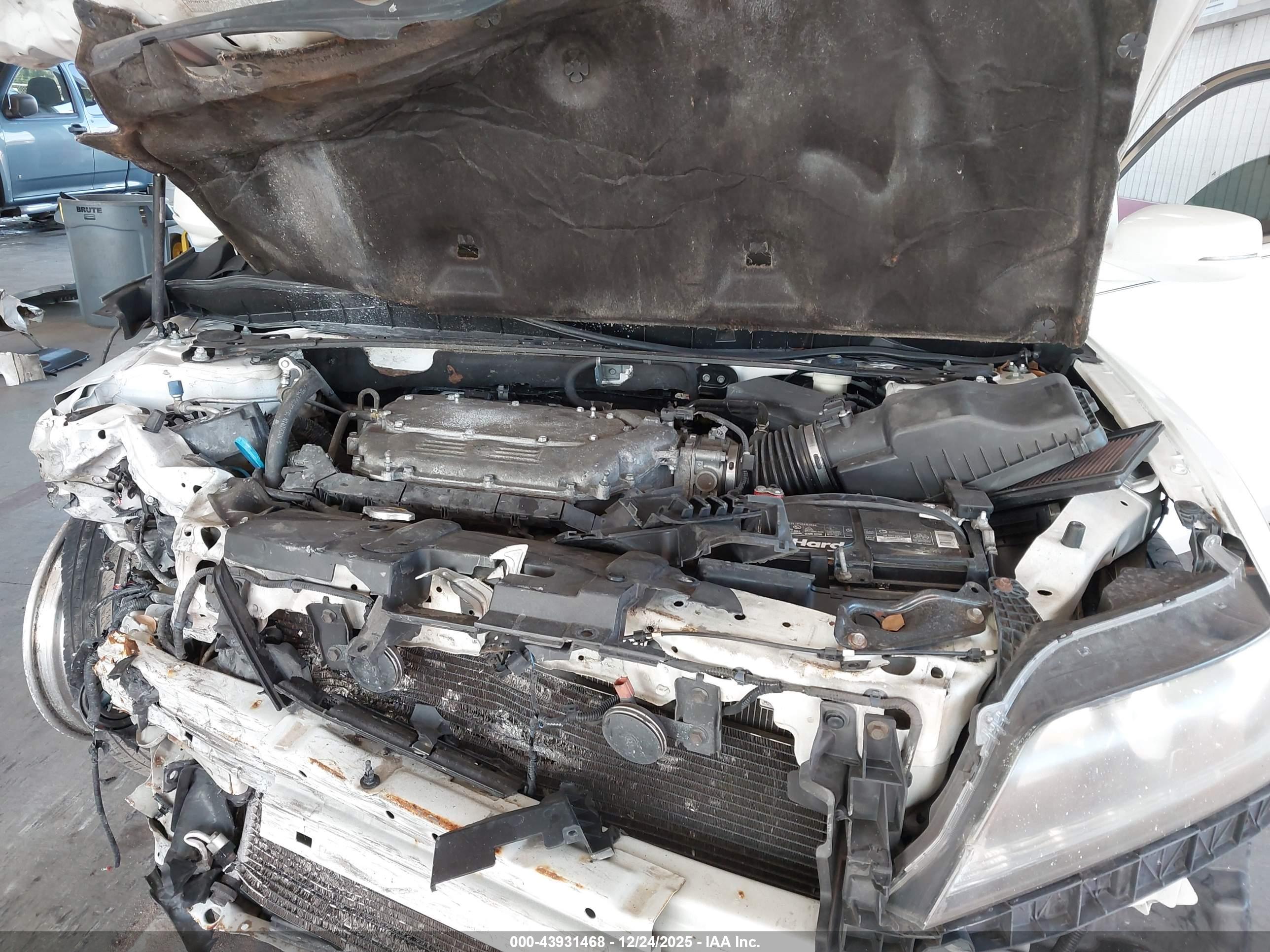 HONDA ACCORD image 10