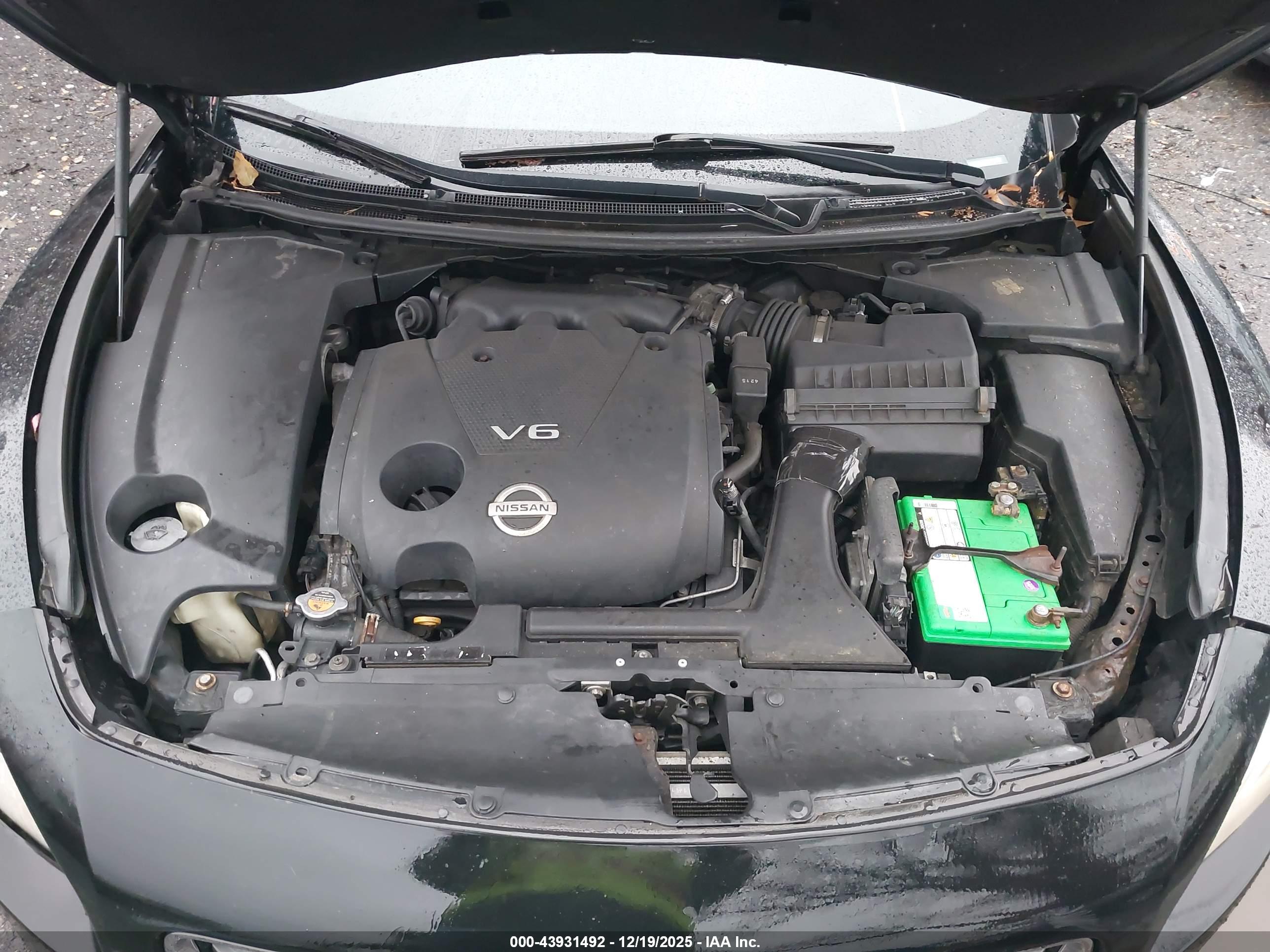 NISSAN MAXIMA image 10