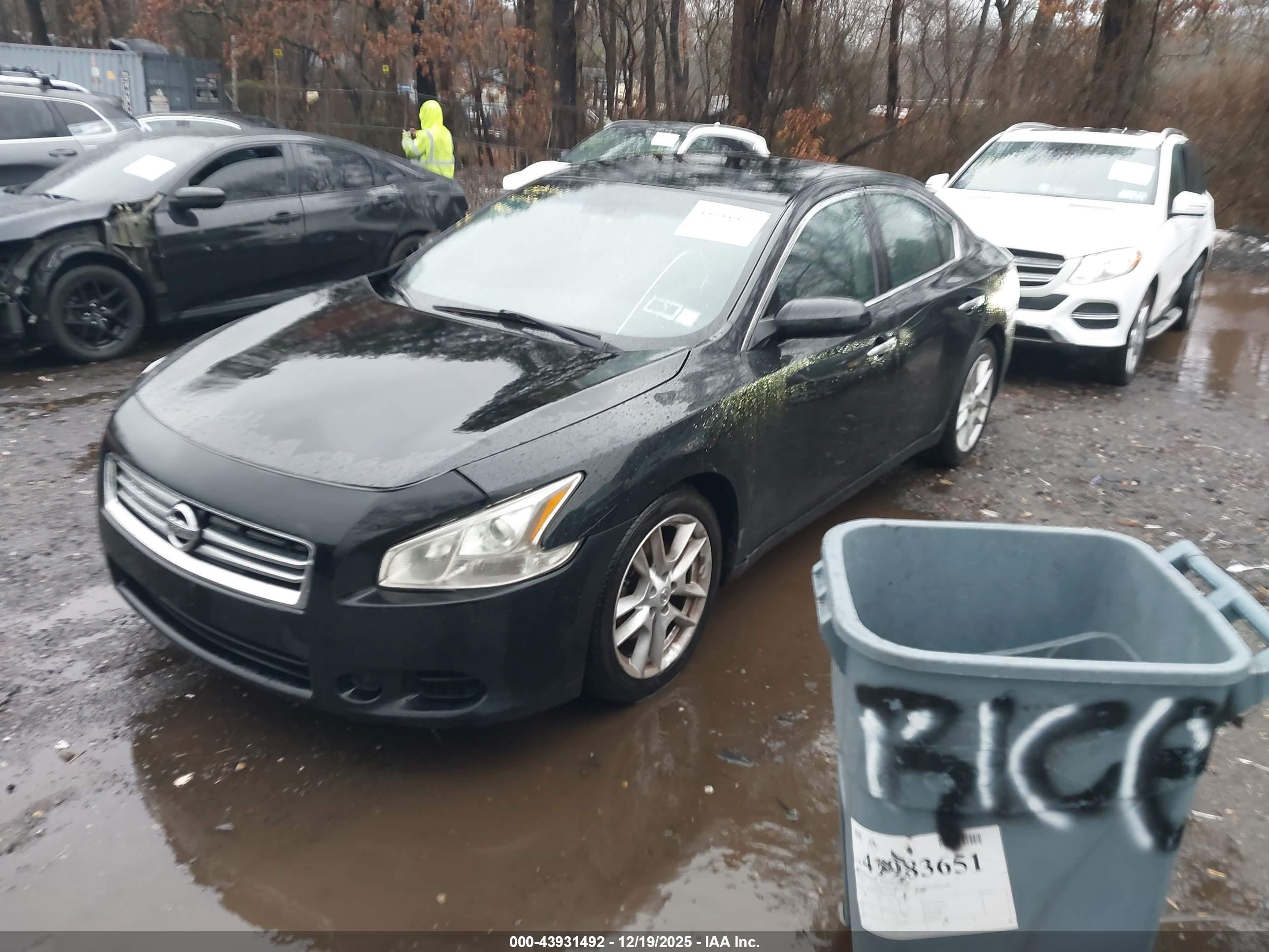 NISSAN MAXIMA image 2