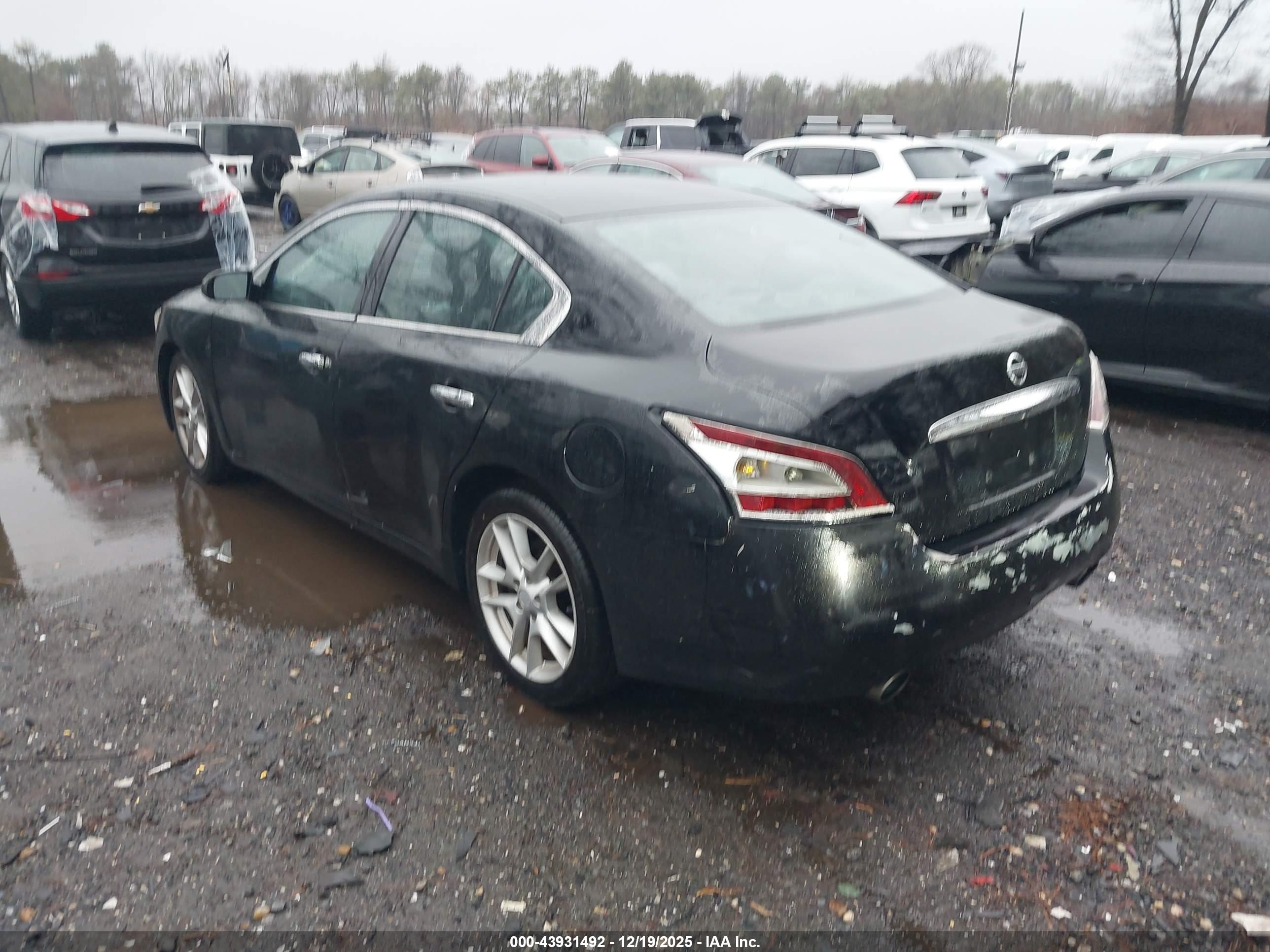 NISSAN MAXIMA image 3