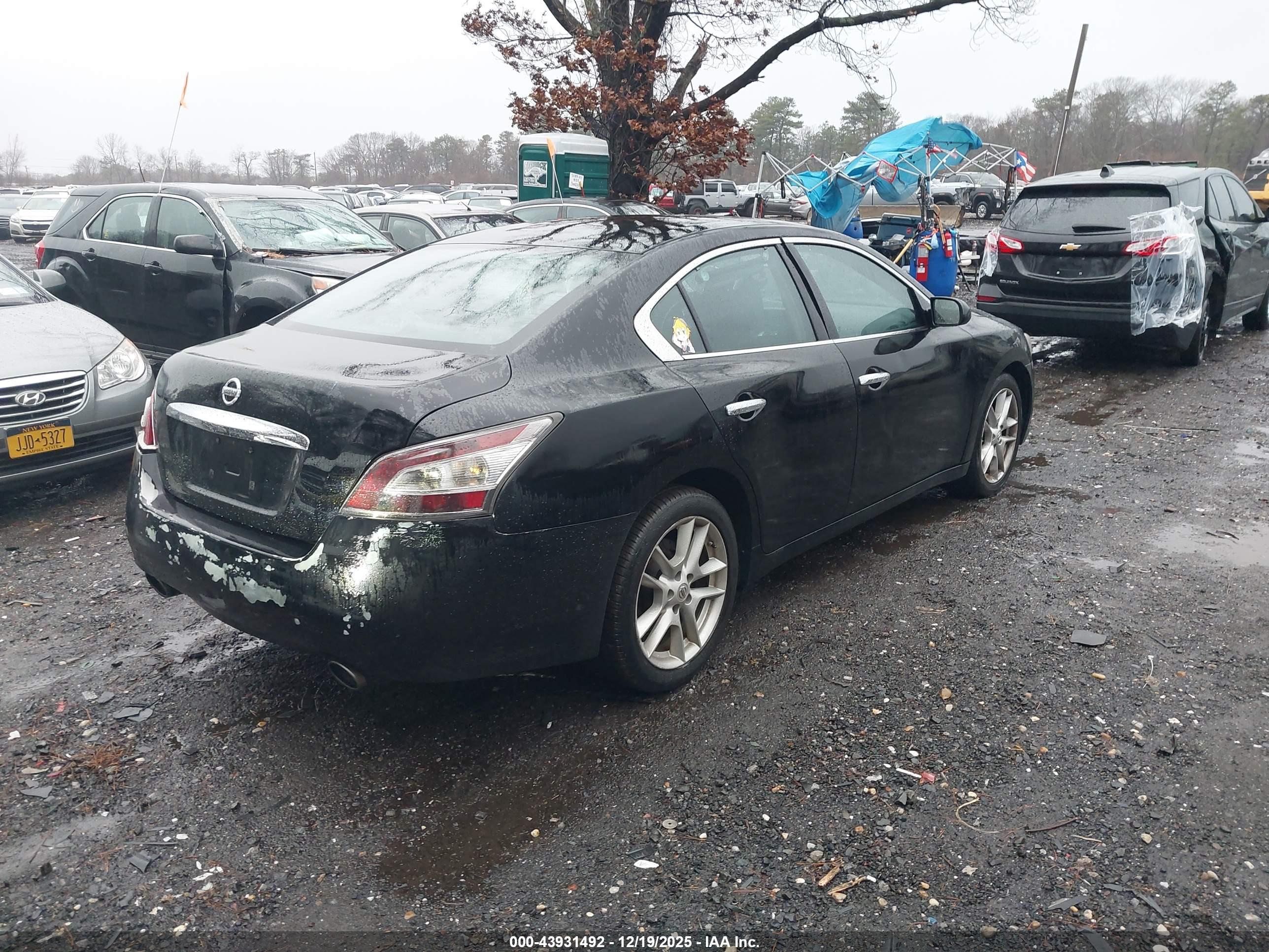 NISSAN MAXIMA image 4
